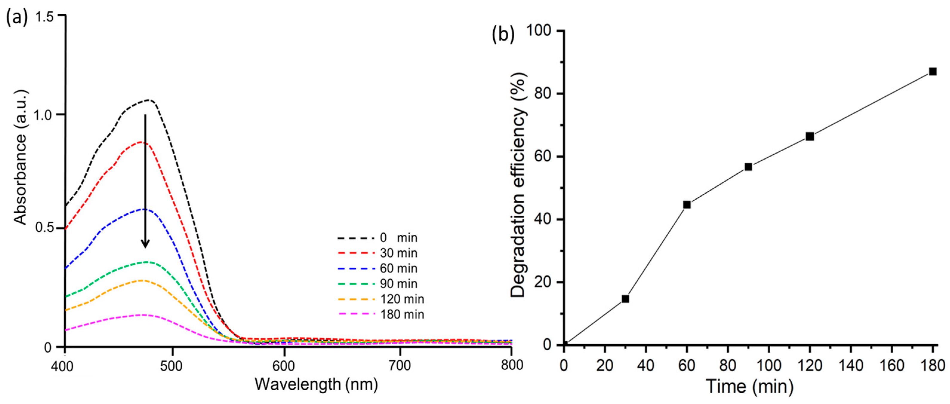 Antioxidants 12 01201 g007 Antioxidants 12 01201 g007