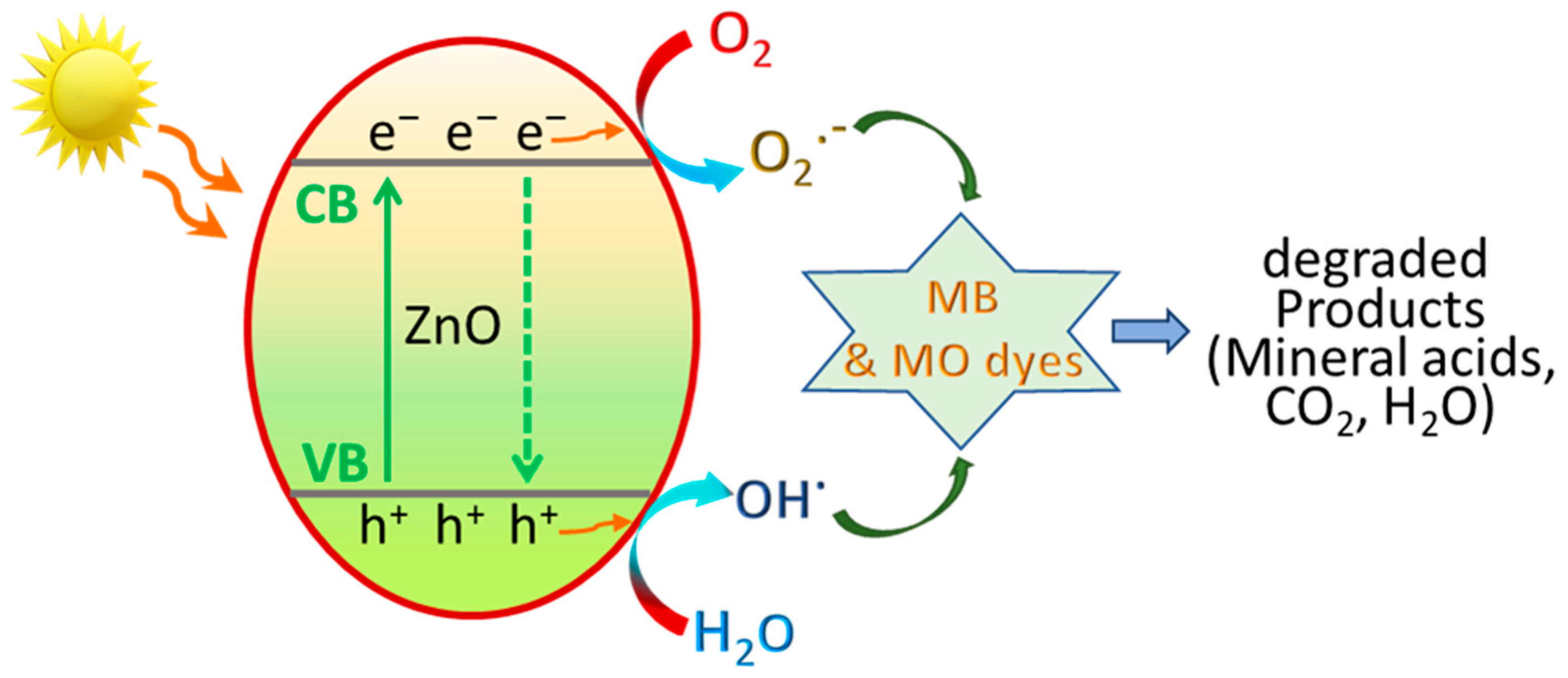Antioxidants 12 01201 g010 Antioxidants 12 01201 g010