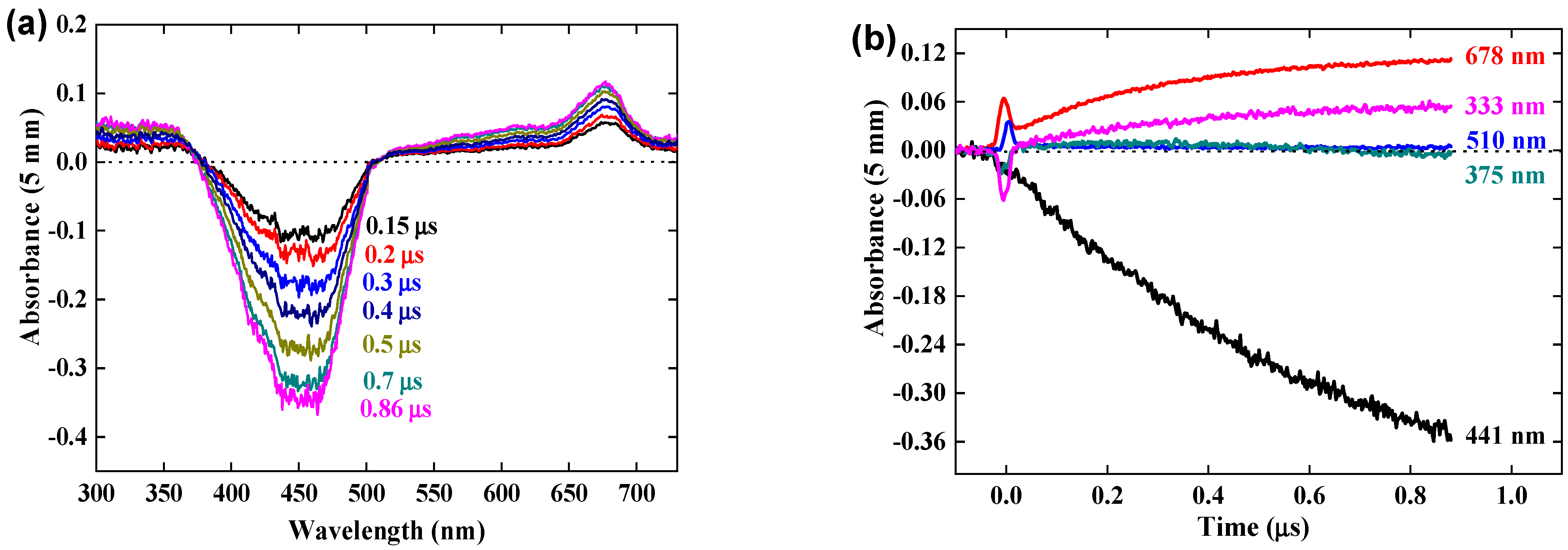 Antioxidants 12 01202 g002 Antioxidants 12 01202 g002