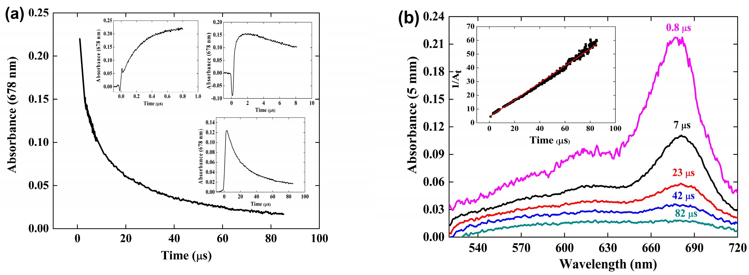 Antioxidants 12 01202 g004 Antioxidants 12 01202 g004