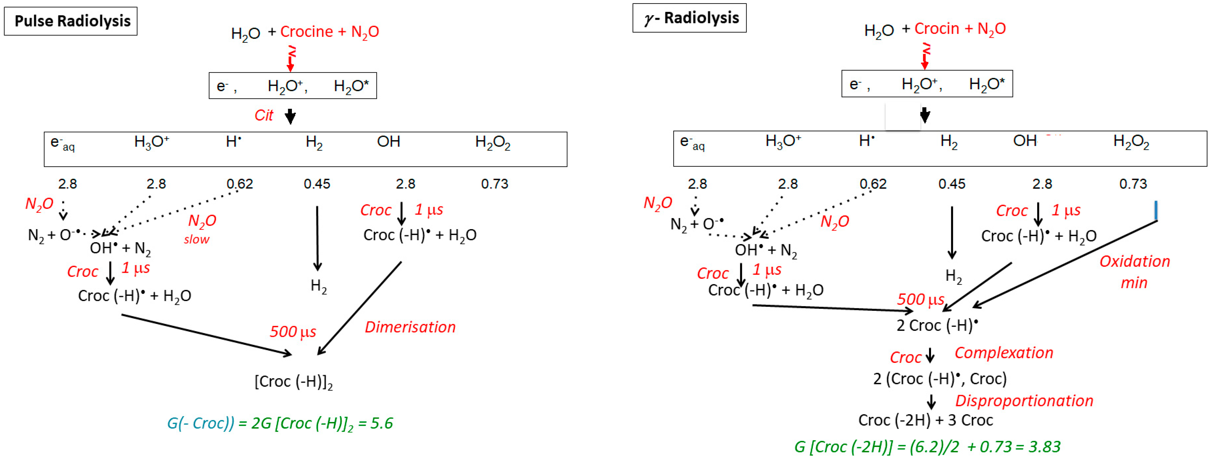 Antioxidants 12 01202 g007 Antioxidants 12 01202 g007