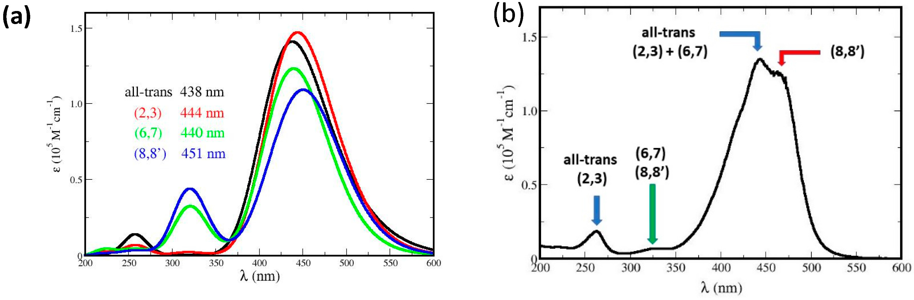 Antioxidants 12 01202 g011 Antioxidants 12 01202 g011