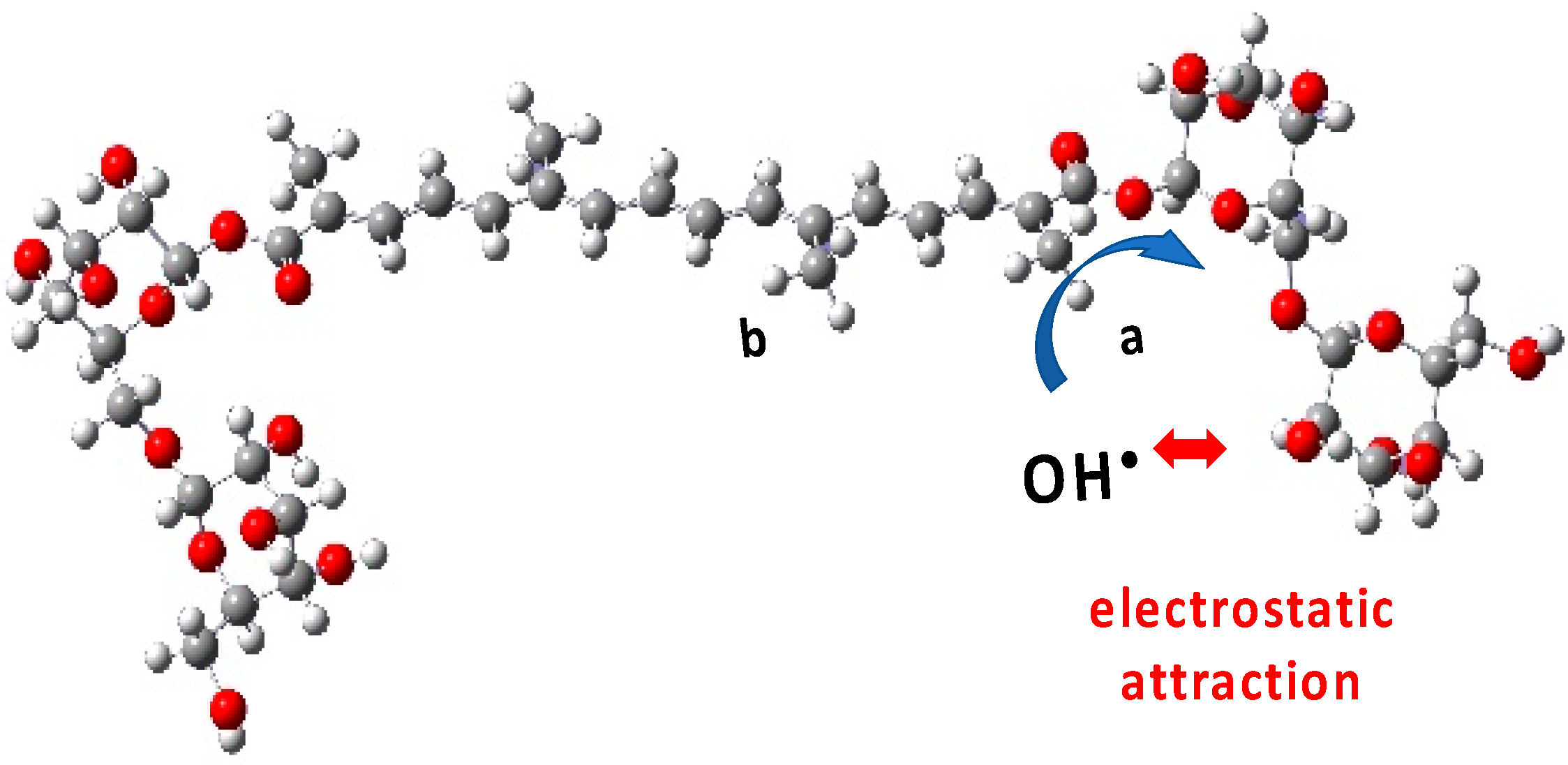 Antioxidants 12 01202 g013 Antioxidants 12 01202 g013