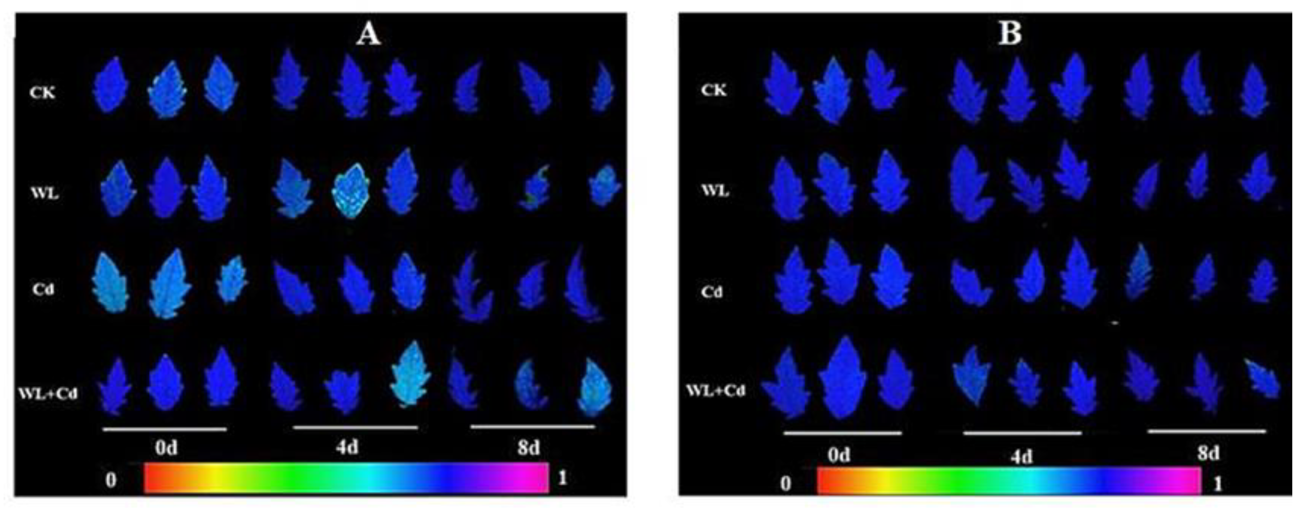 Antioxidants 12 01205 g002 Antioxidants 12 01205 g002
