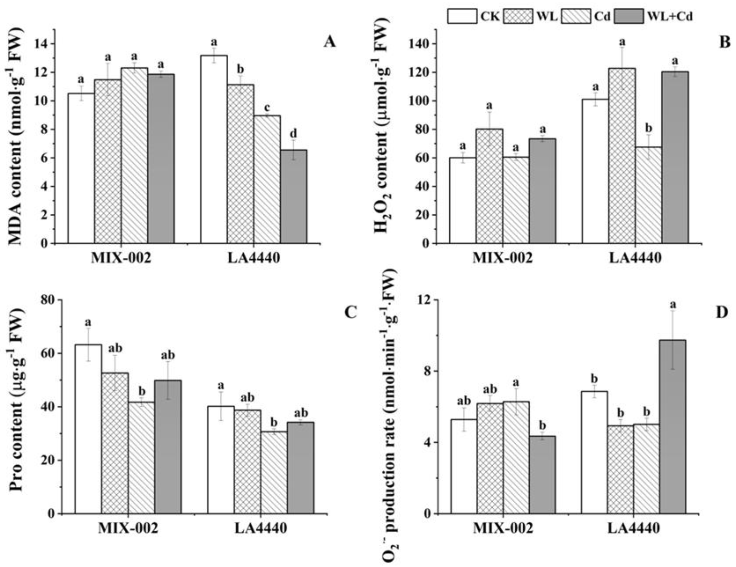 Antioxidants 12 01205 g003 Antioxidants 12 01205 g003