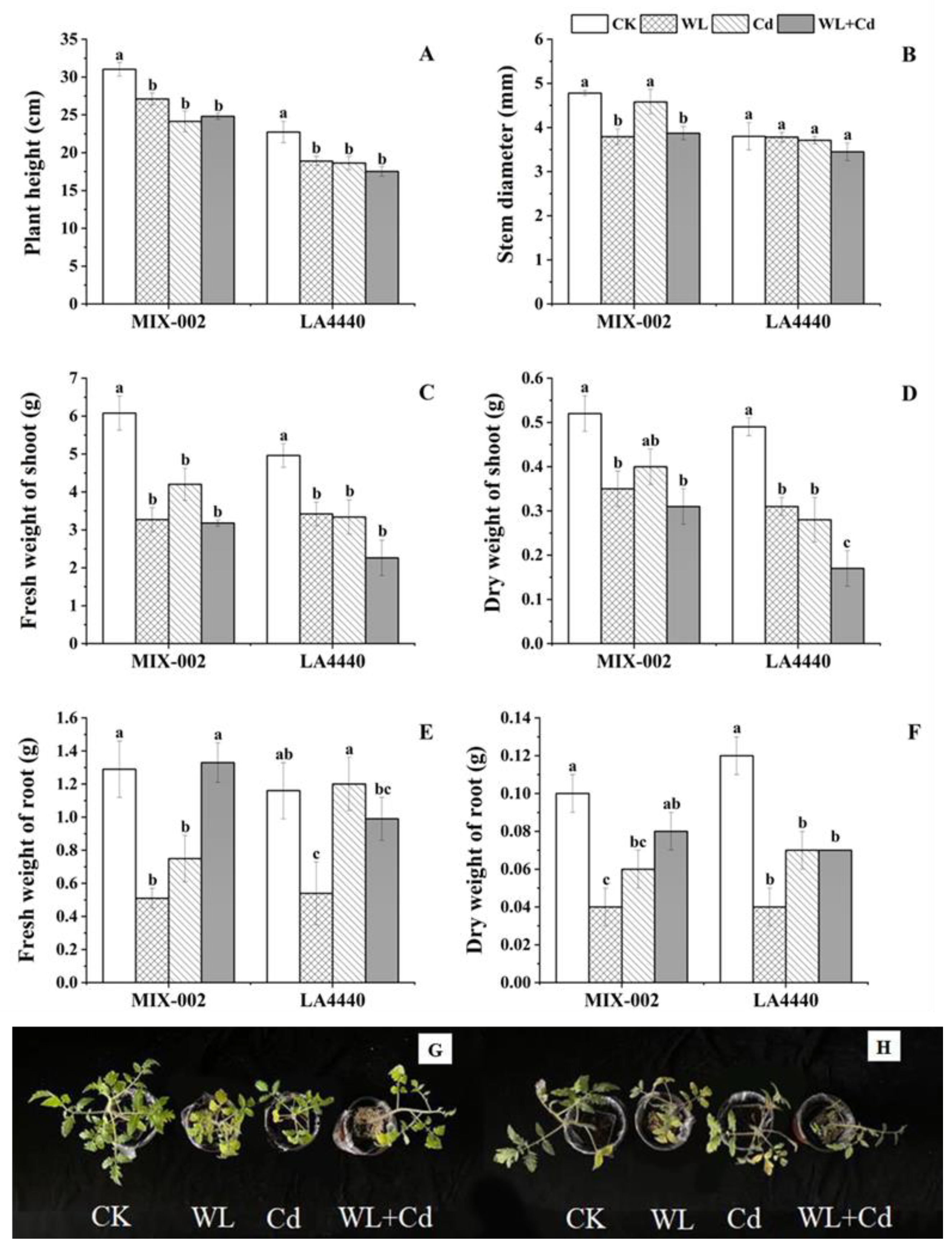 Antioxidants 12 01205 g005 Antioxidants 12 01205 g005