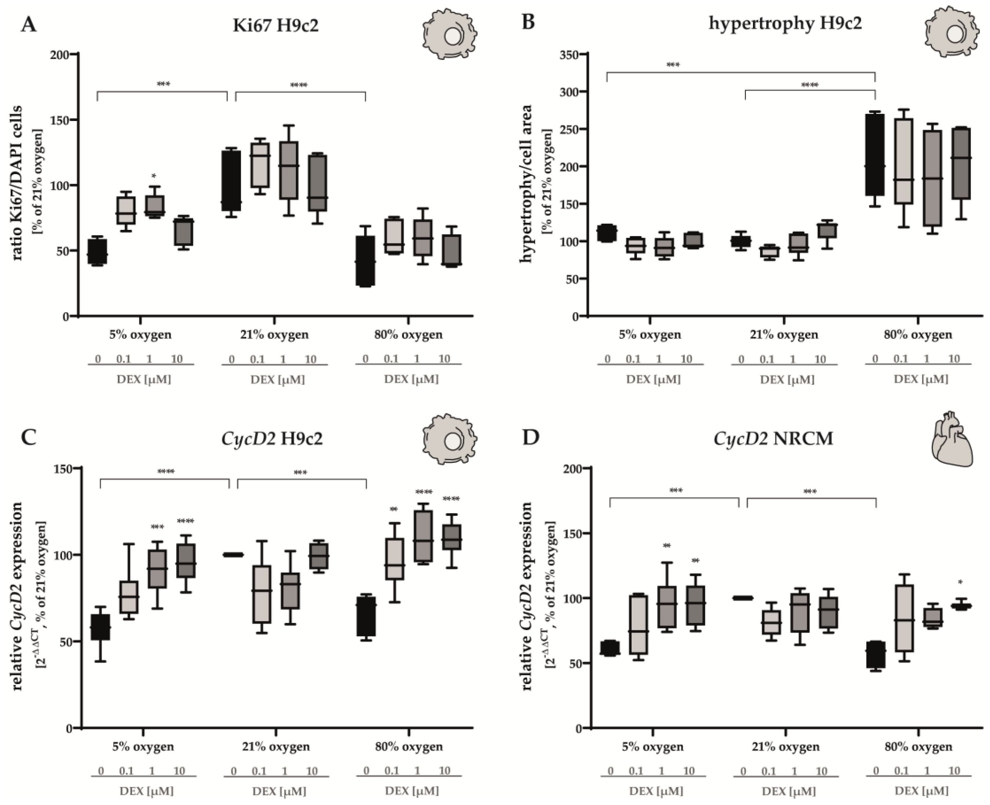 Antioxidants 12 01206 g002