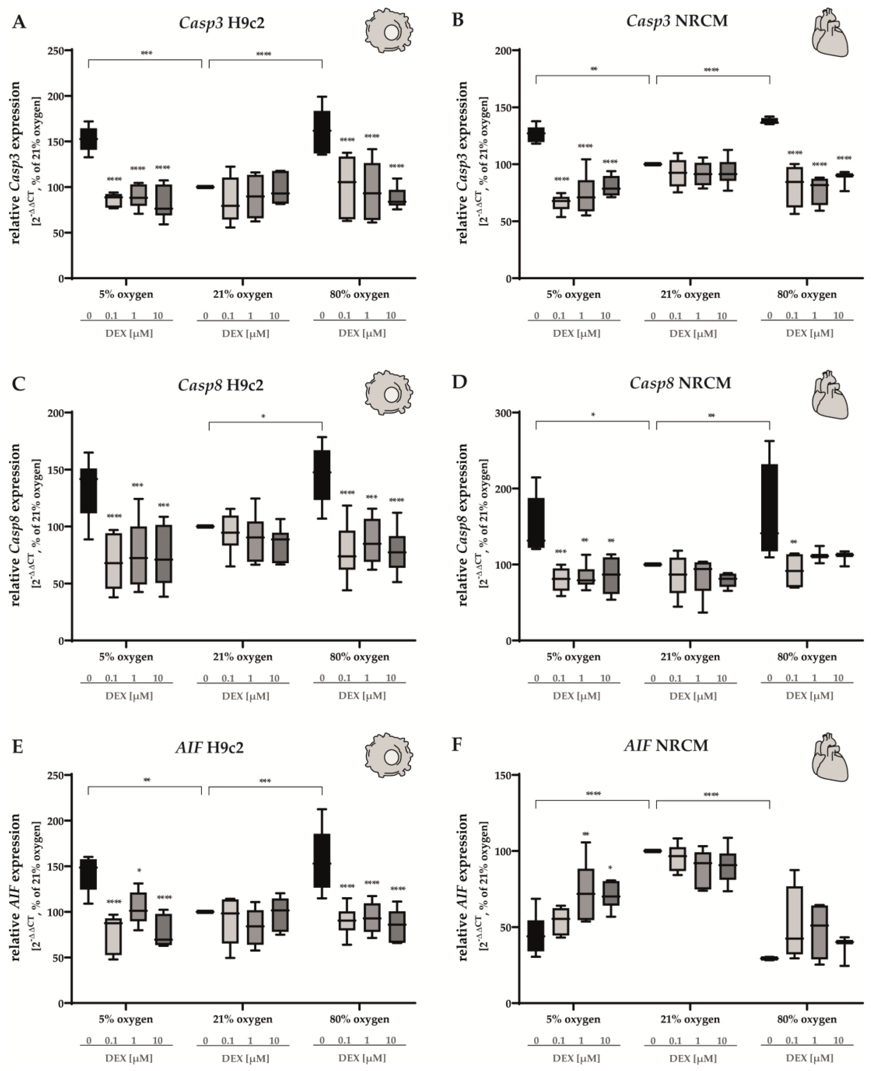 Antioxidants 12 01206 g004