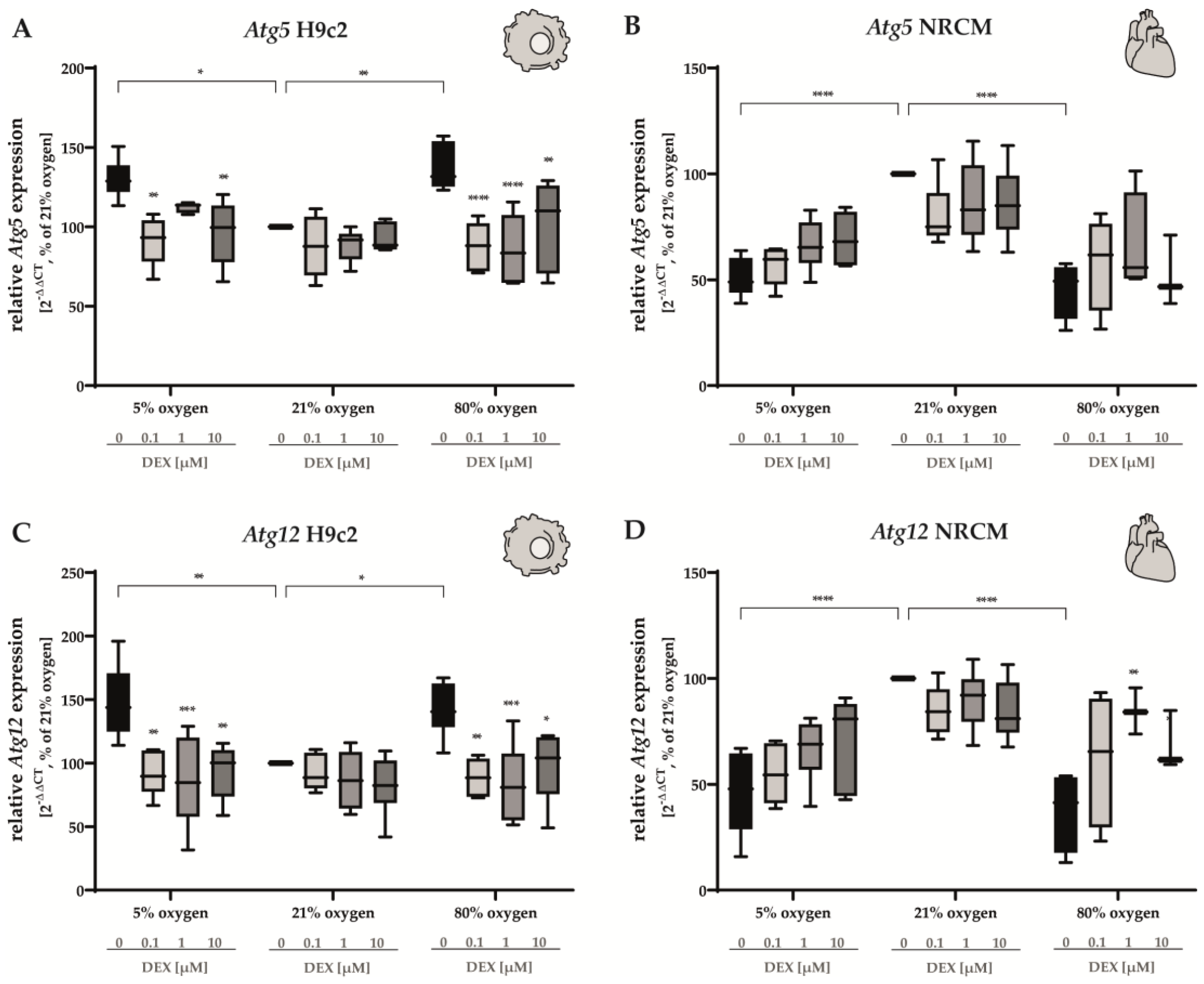 Antioxidants 12 01206 g005