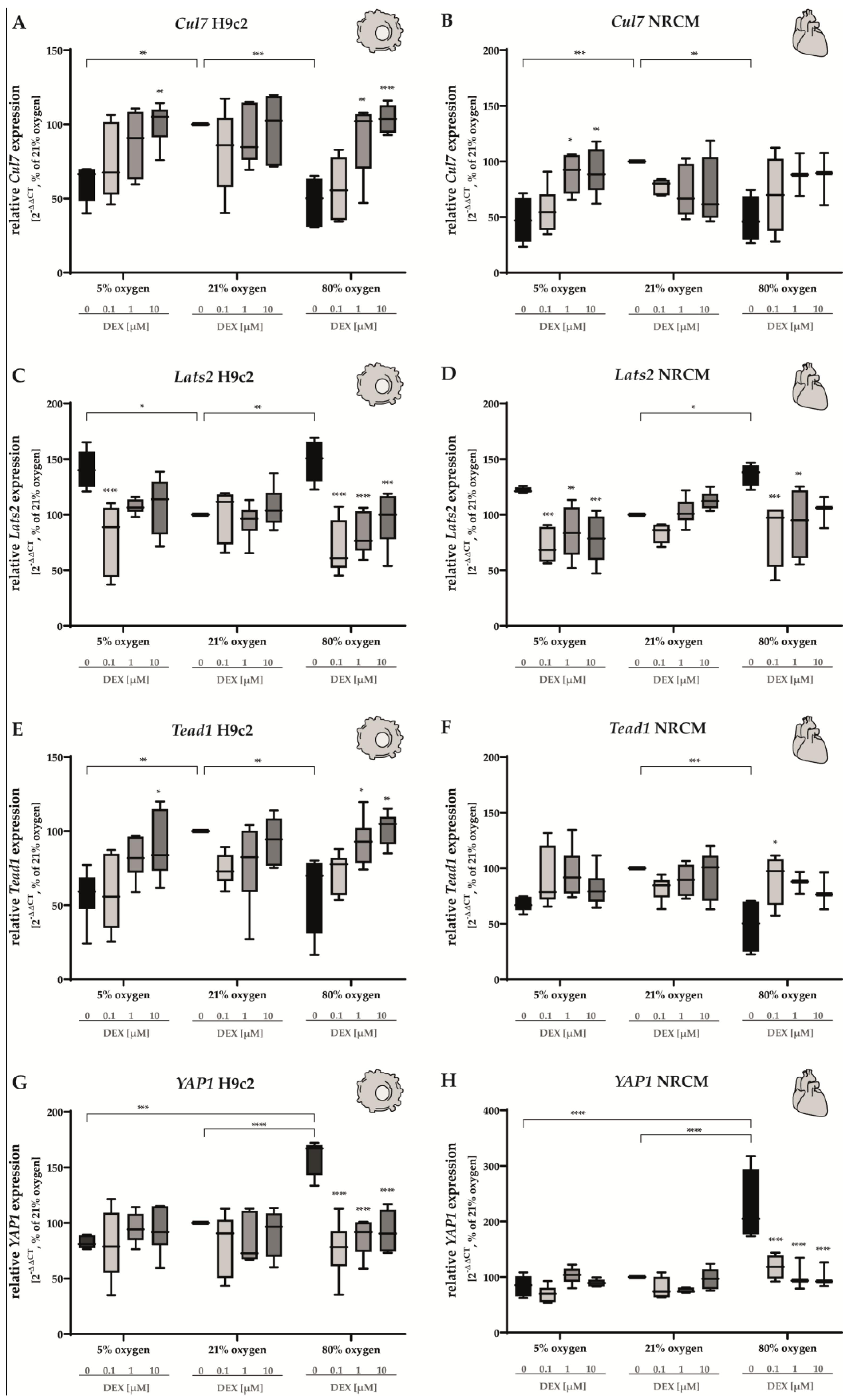 Antioxidants 12 01206 g008