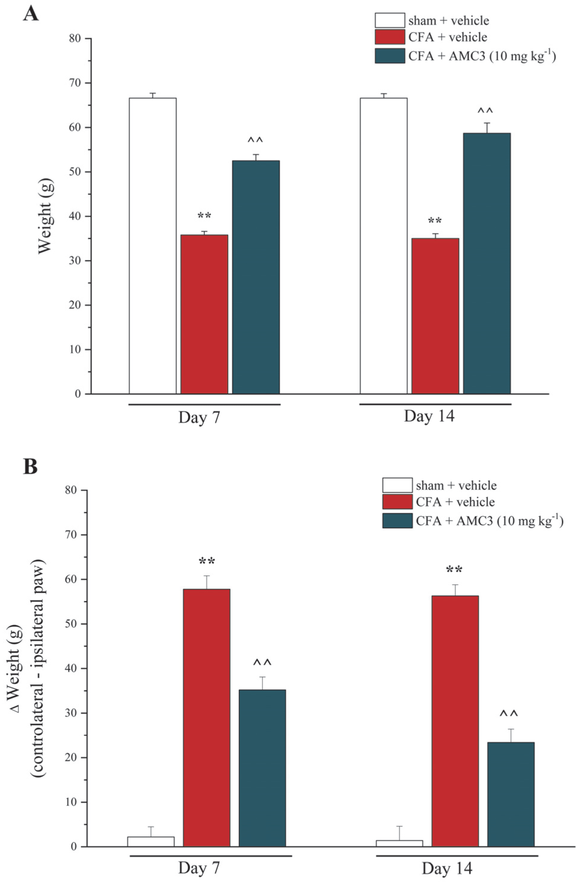 Antioxidants 12 01207 g005