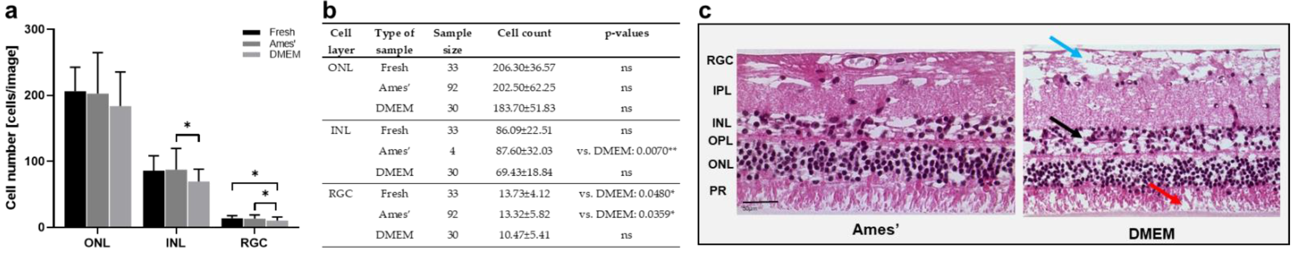 Antioxidants 12 01211 g004 Antioxidants 12 01211 g004
