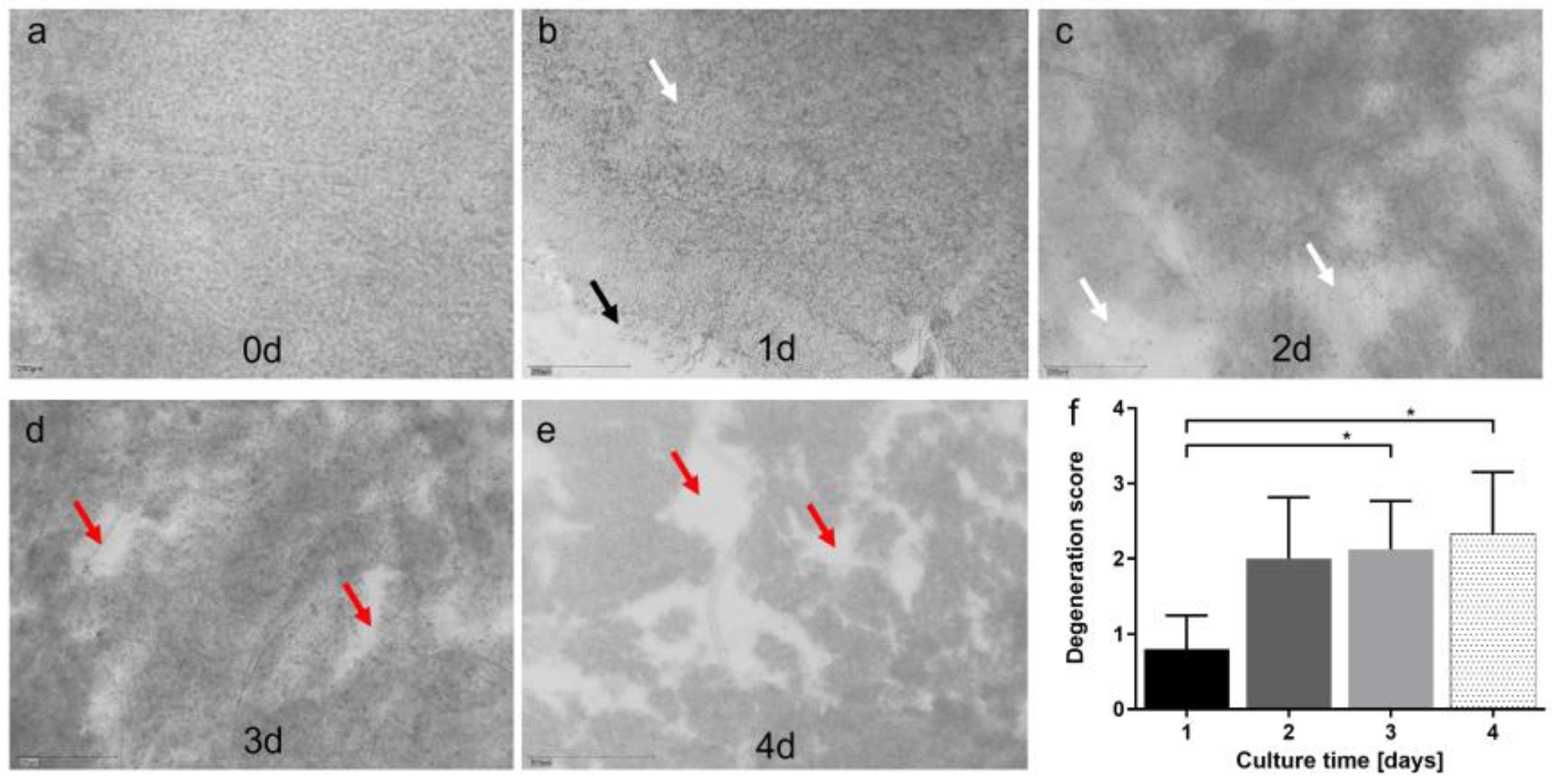Antioxidants 12 01211 g006 Antioxidants 12 01211 g006