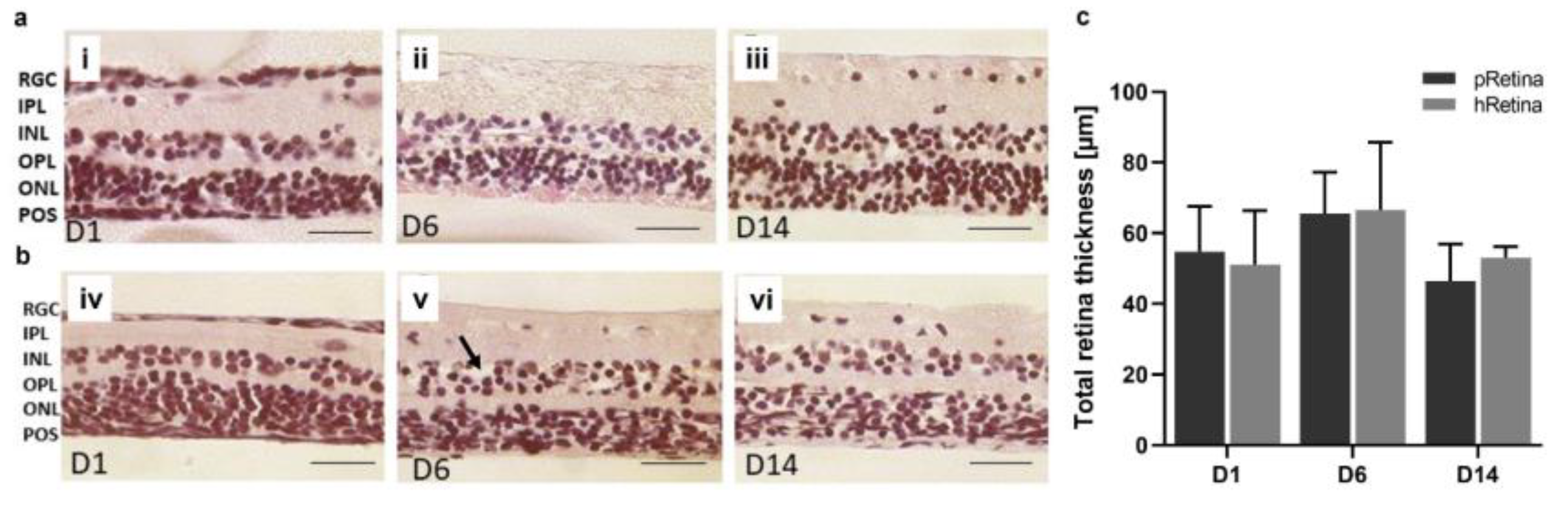Antioxidants 12 01211 g008 Antioxidants 12 01211 g008