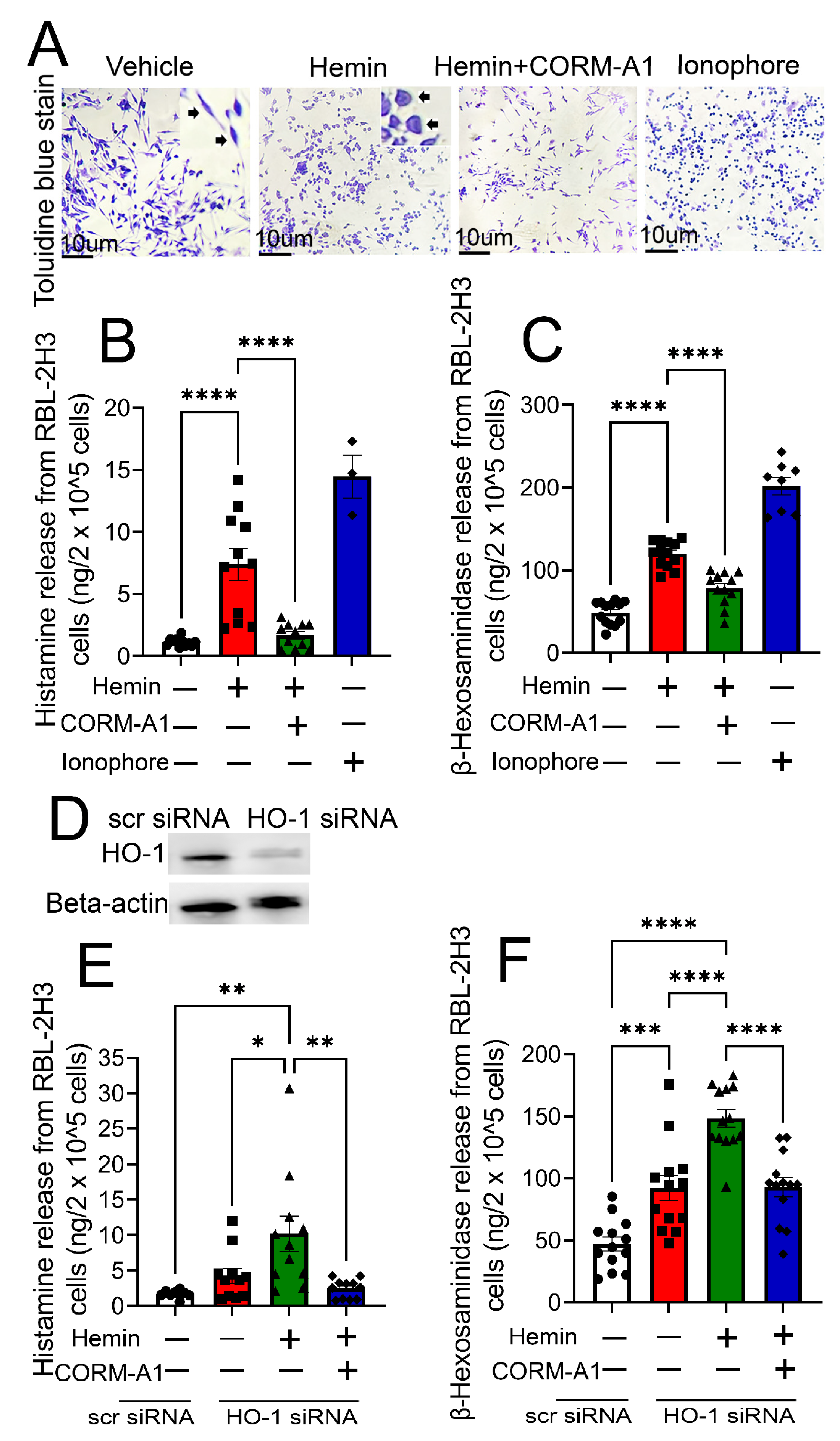Antioxidants 12 01213 g002