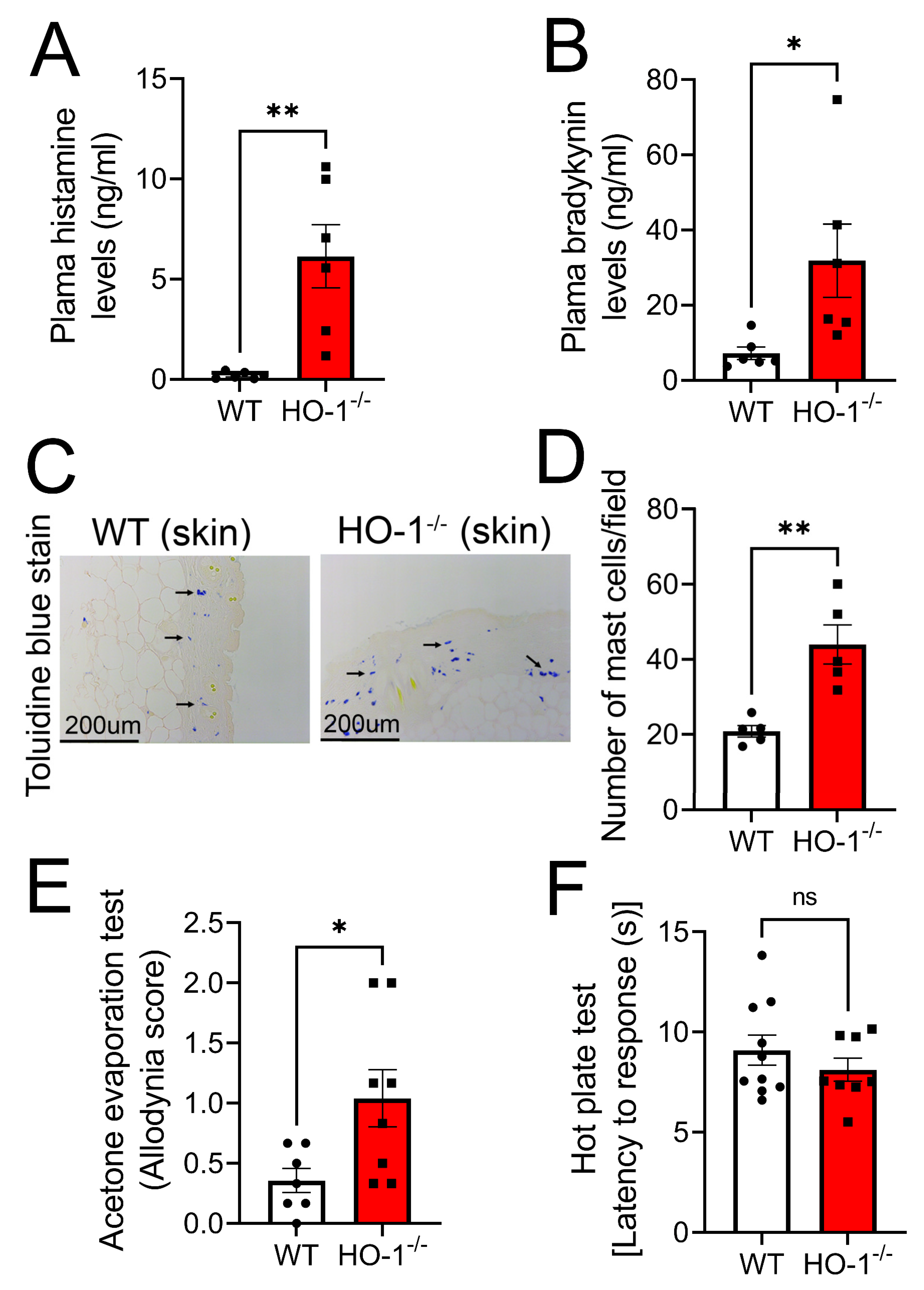 Antioxidants 12 01213 g003