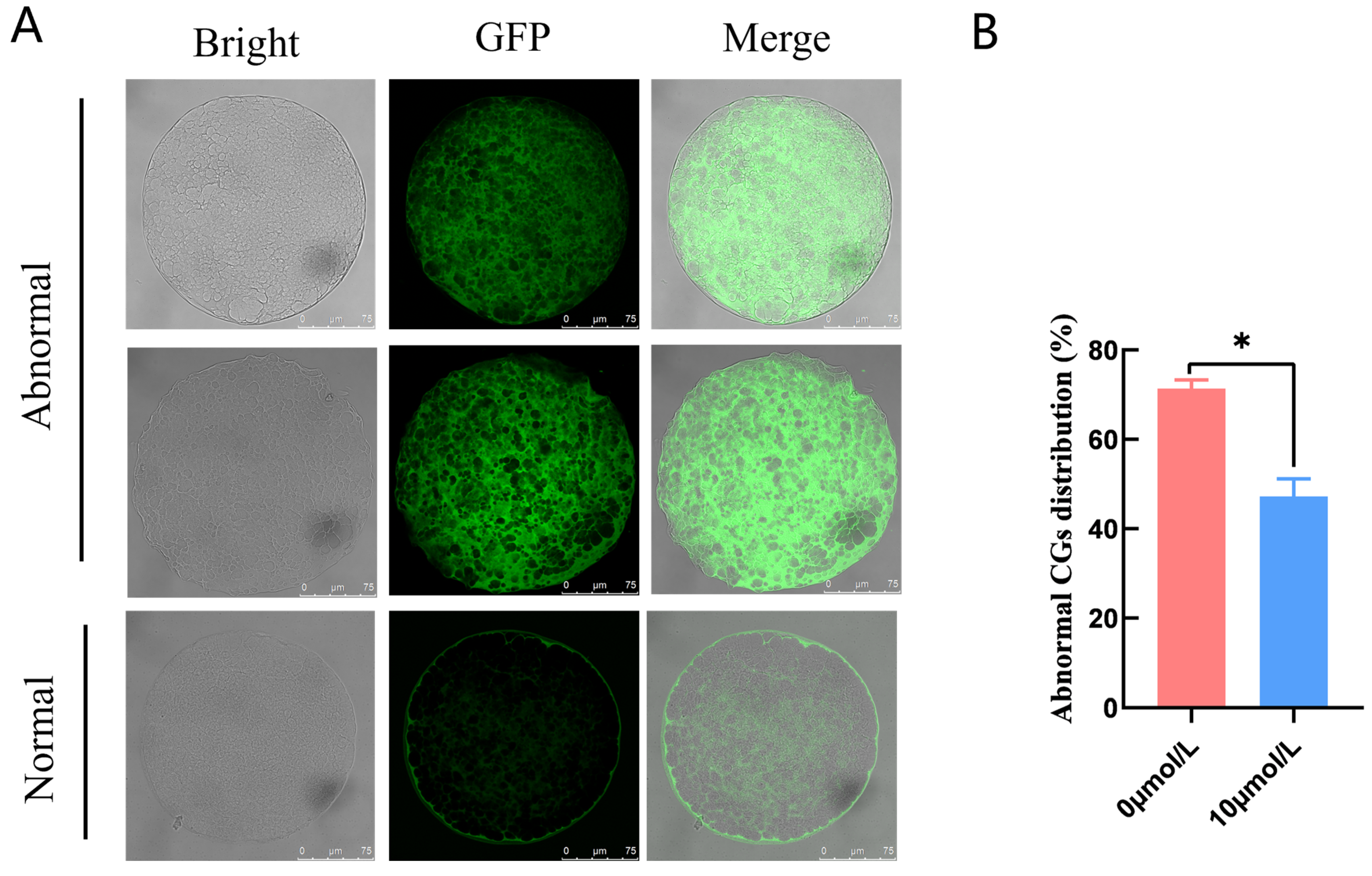 Antioxidants 12 01222 g002