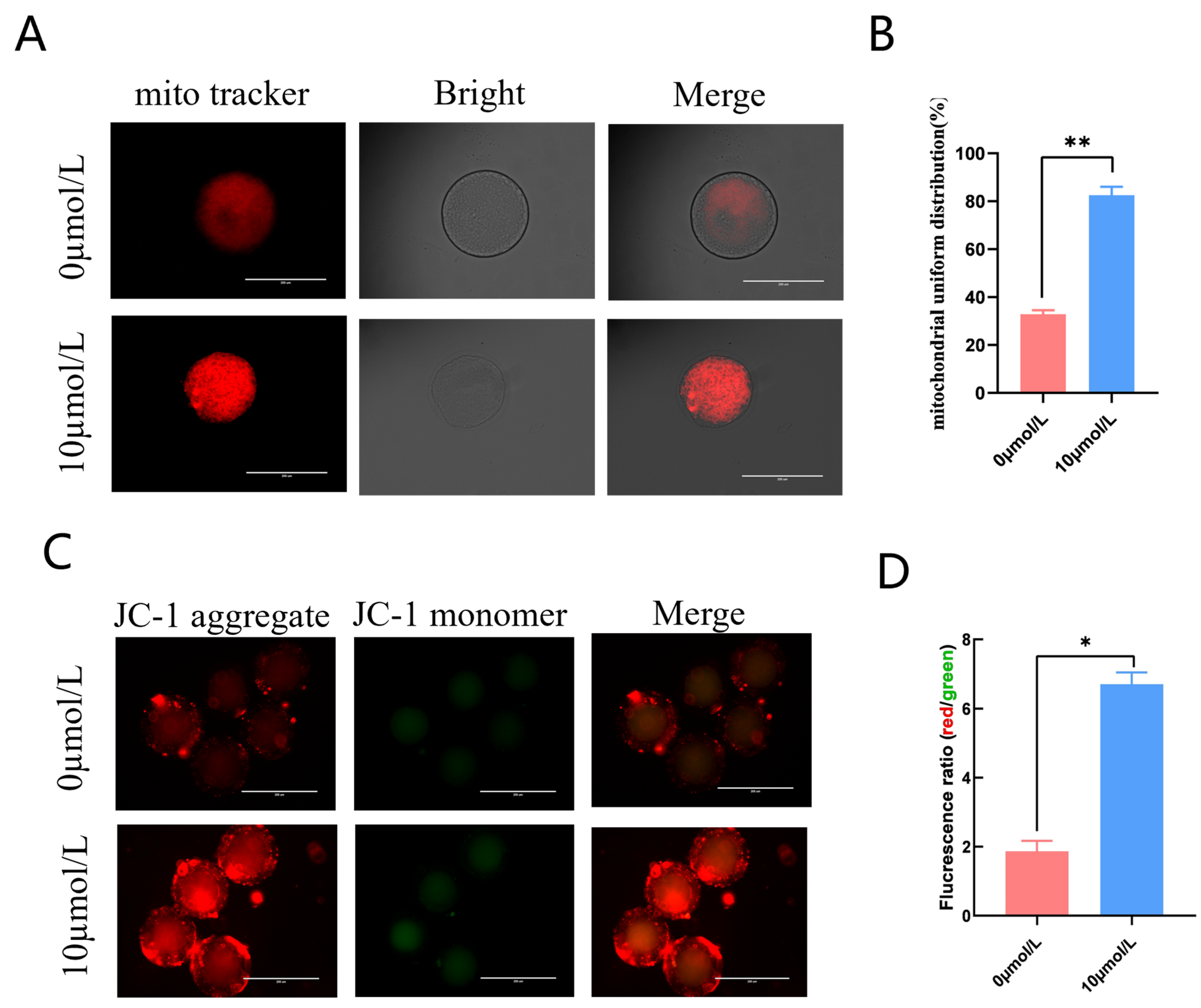 Antioxidants 12 01222 g003