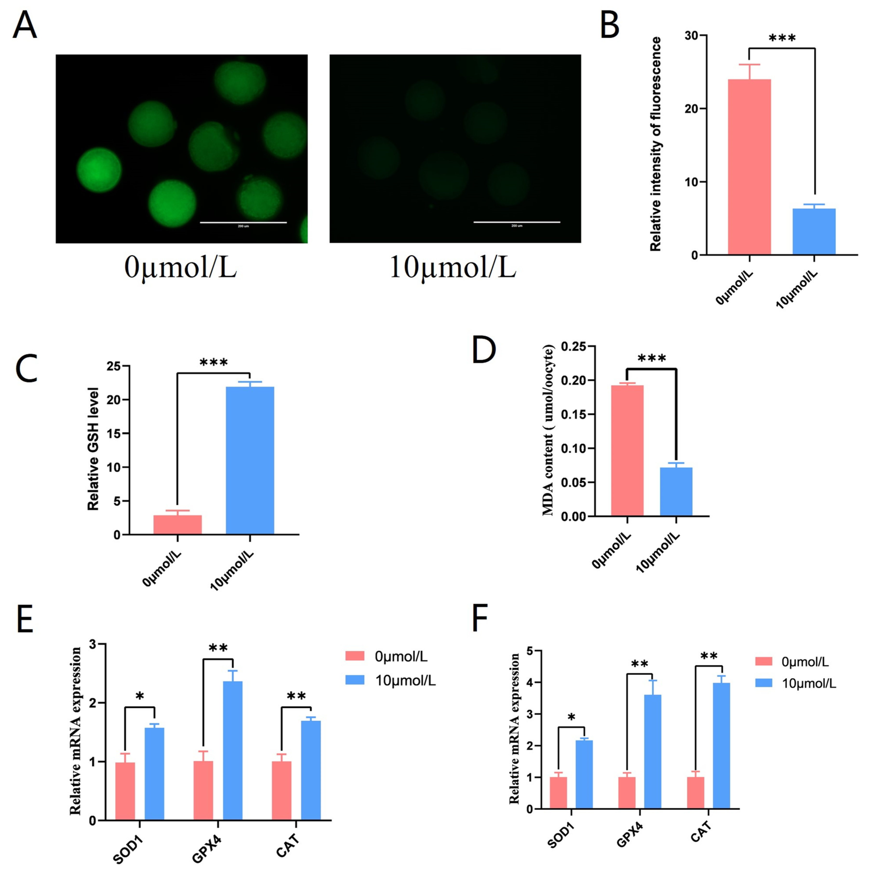 Antioxidants 12 01222 g004