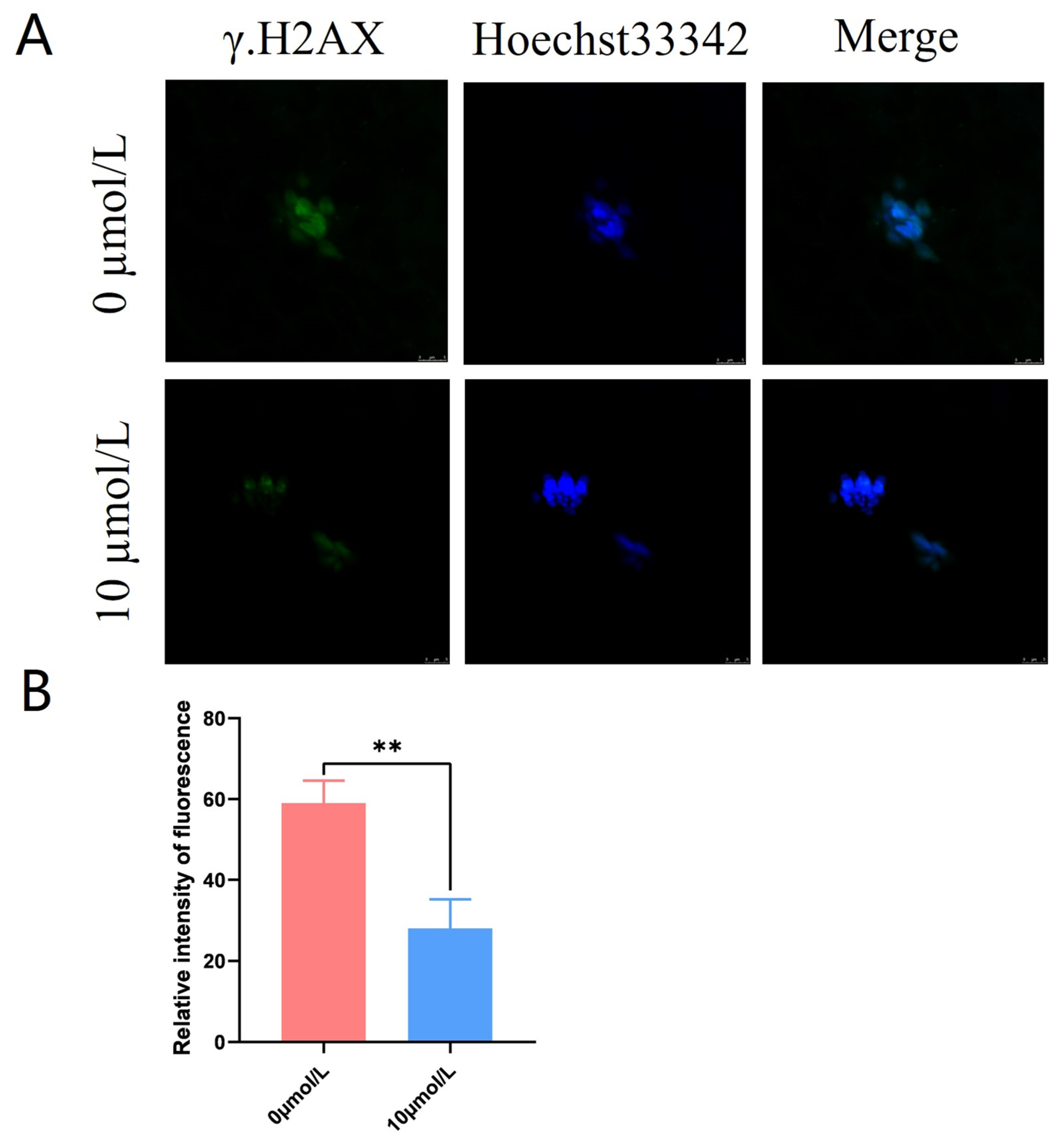 Antioxidants 12 01222 g005
