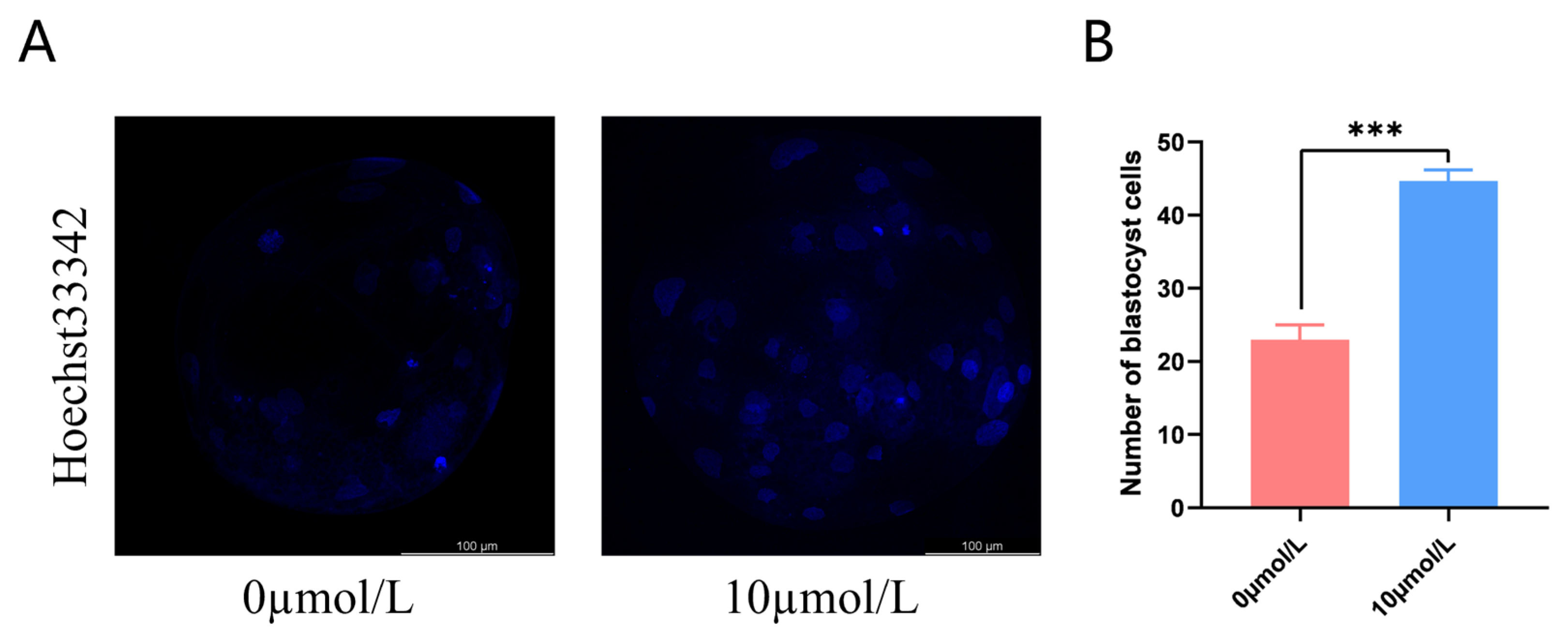 Antioxidants 12 01222 g006
