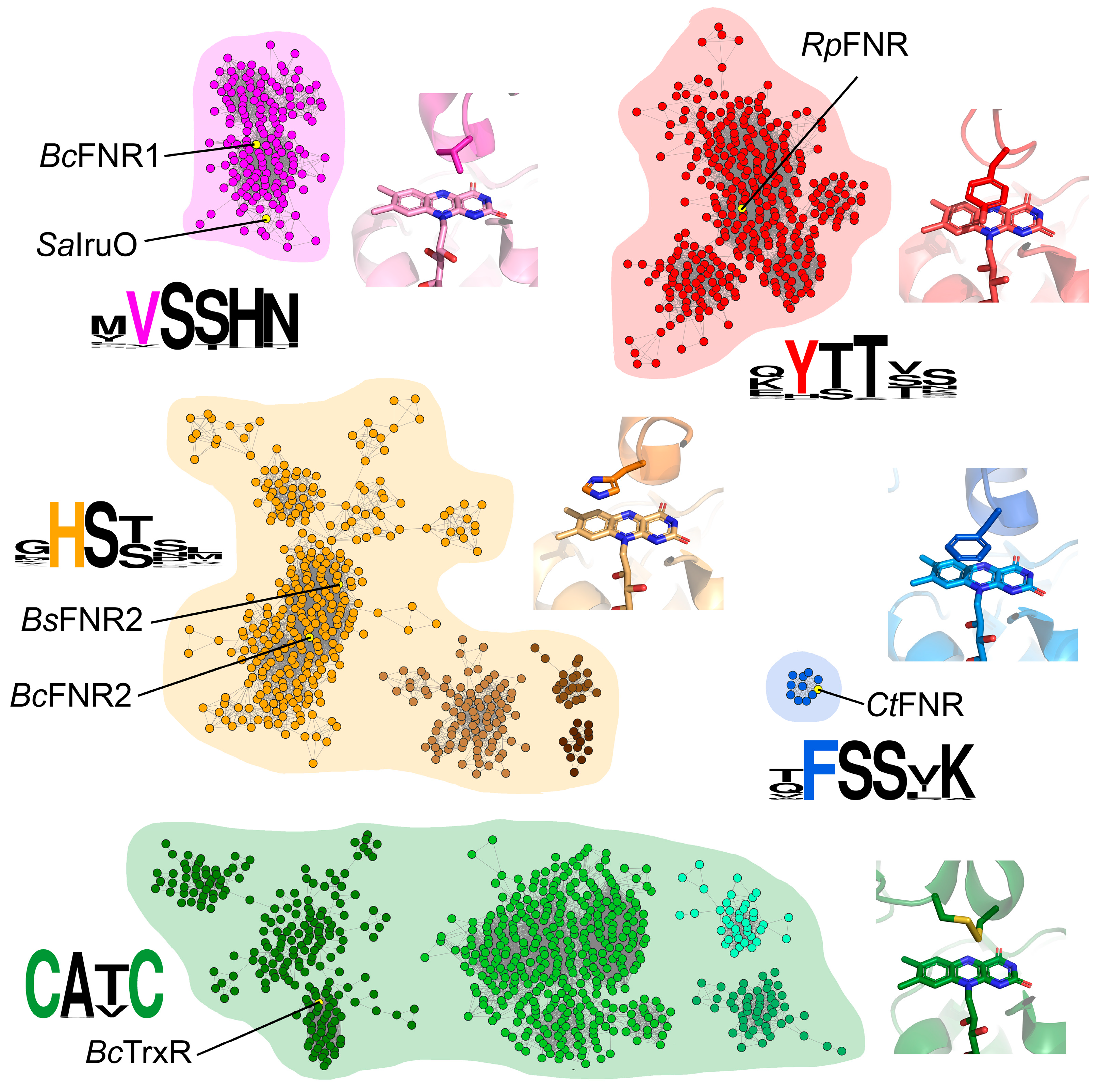 Antioxidants 12 01224 g001 Antioxidants 12 01224 g001