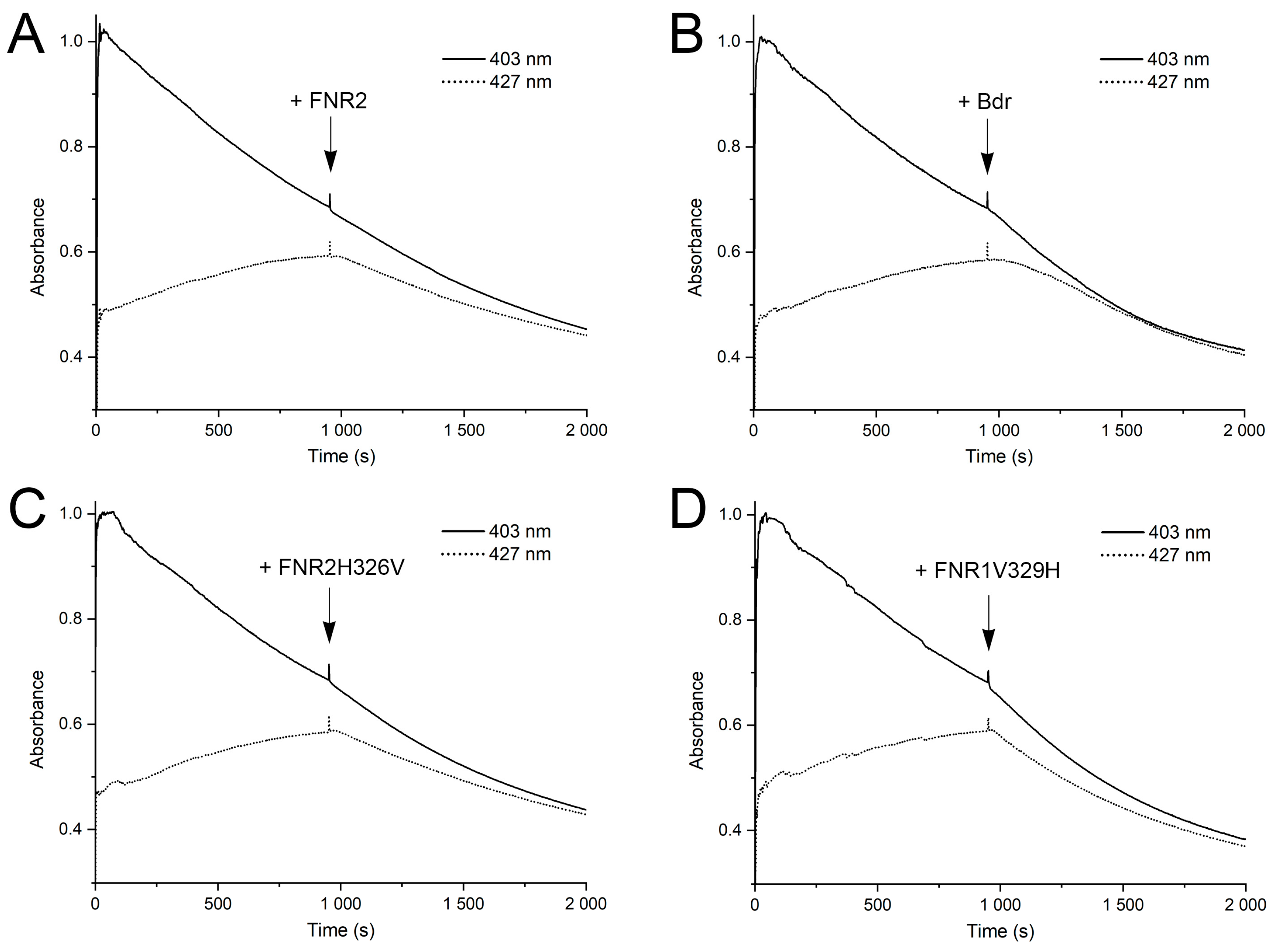 Antioxidants 12 01224 g003 Antioxidants 12 01224 g003
