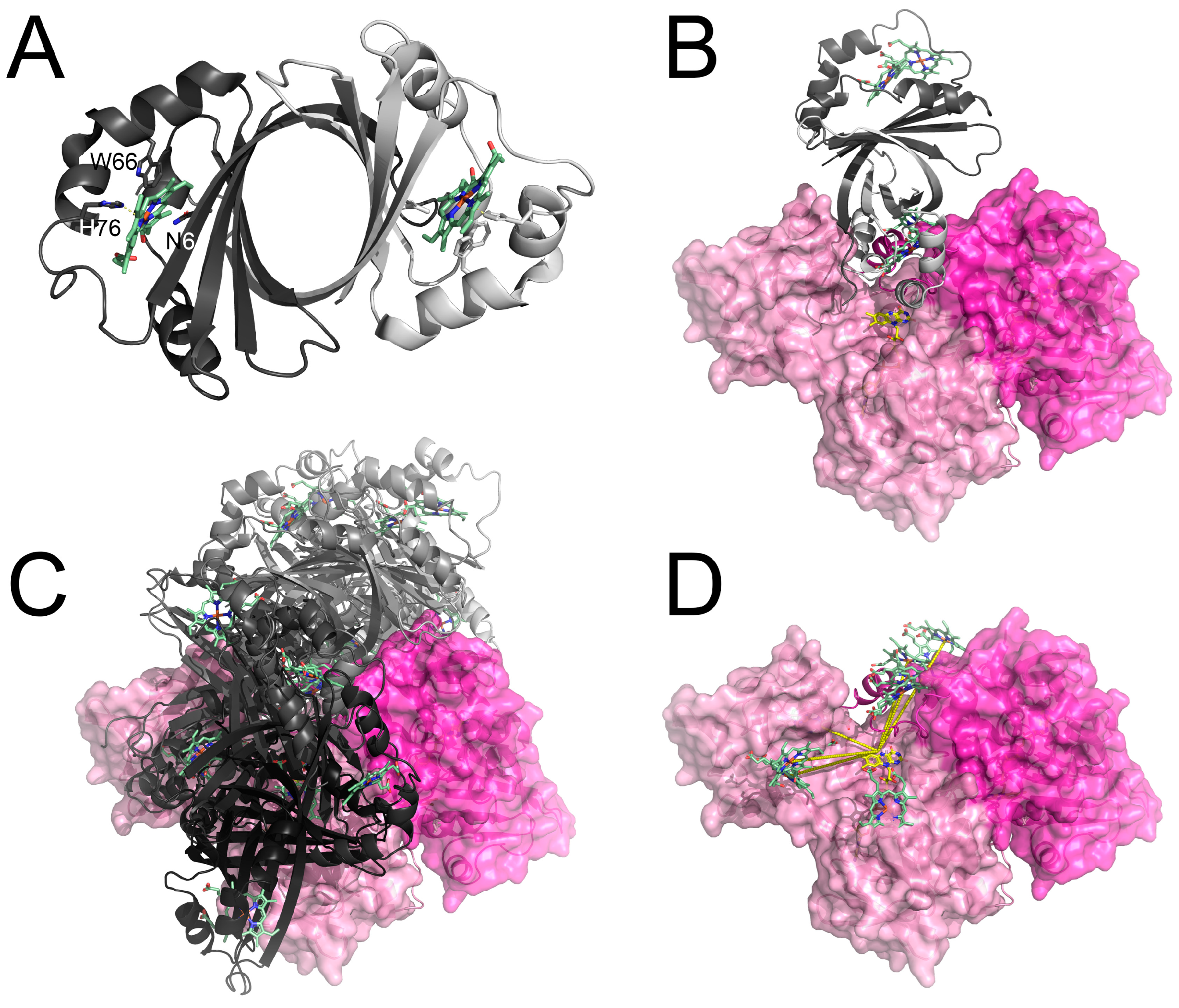 Antioxidants 12 01224 g005 Antioxidants 12 01224 g005