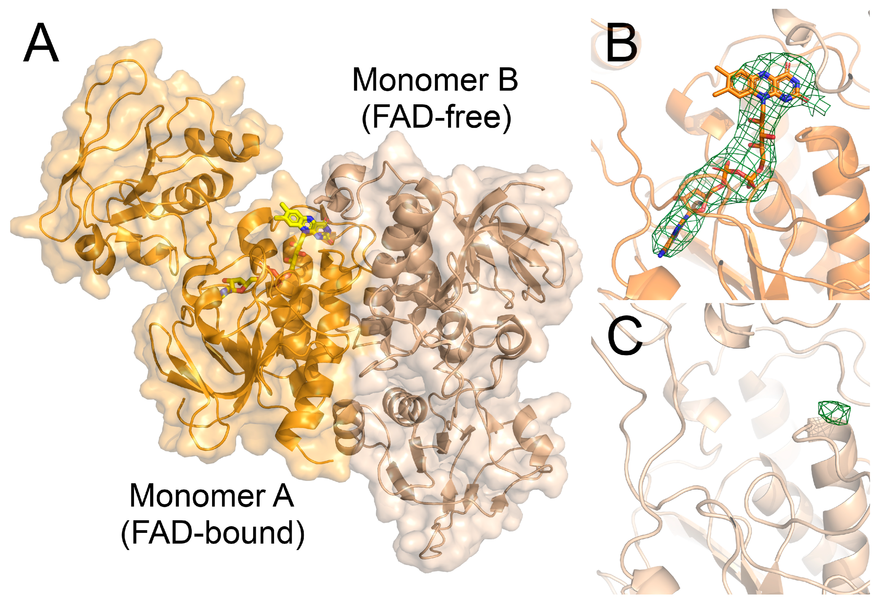Antioxidants 12 01224 g008 Antioxidants 12 01224 g008