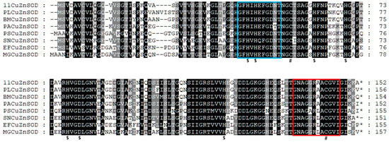 Antioxidants 12 01227 g002