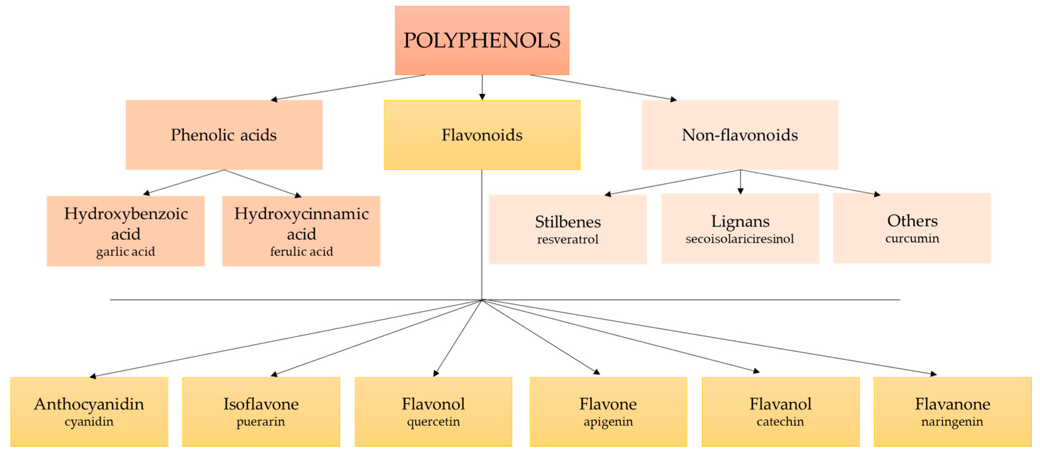 Antioxidants 12 01232 g002 Antioxidants 12 01232 g002