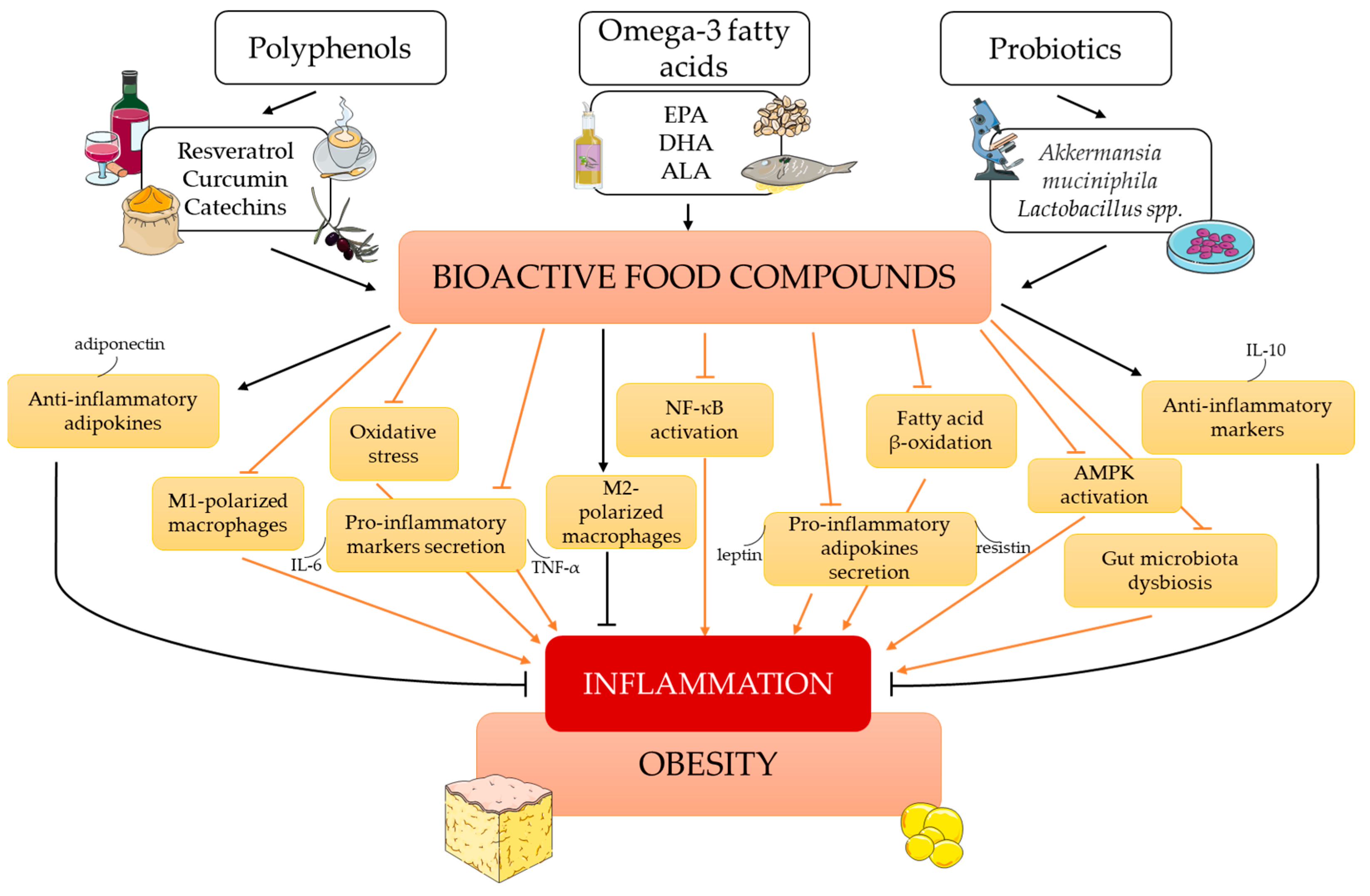 Antioxidants 12 01232 g003 Antioxidants 12 01232 g003