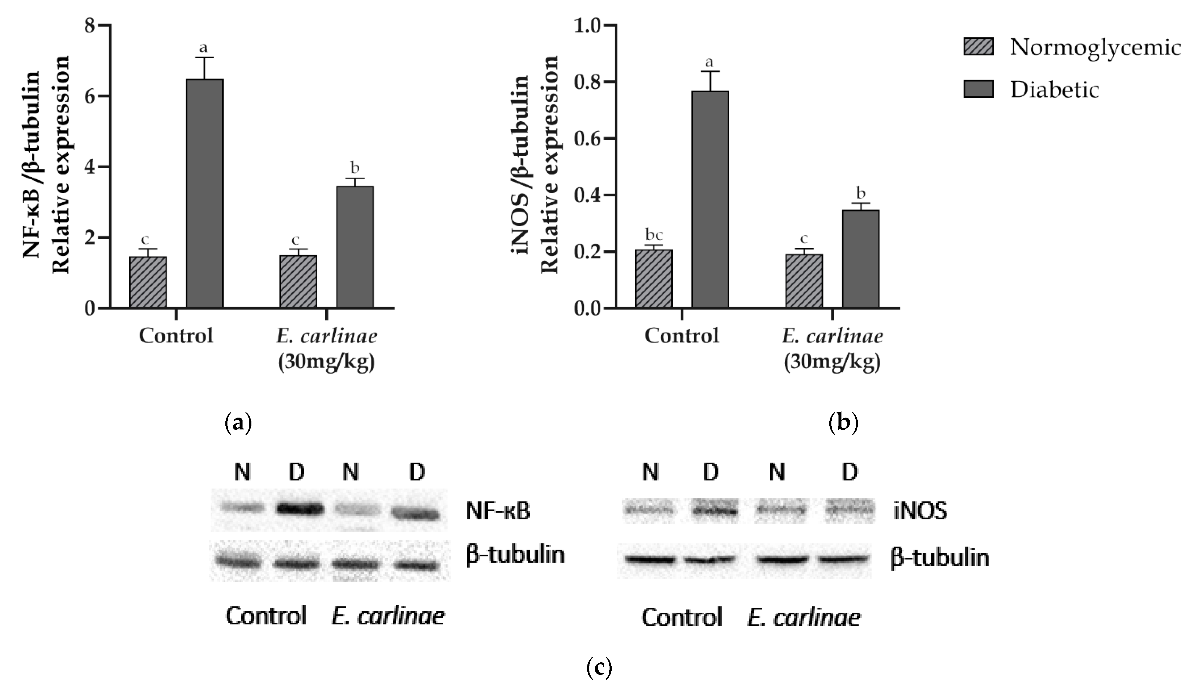 Antioxidants 12 01235 g005