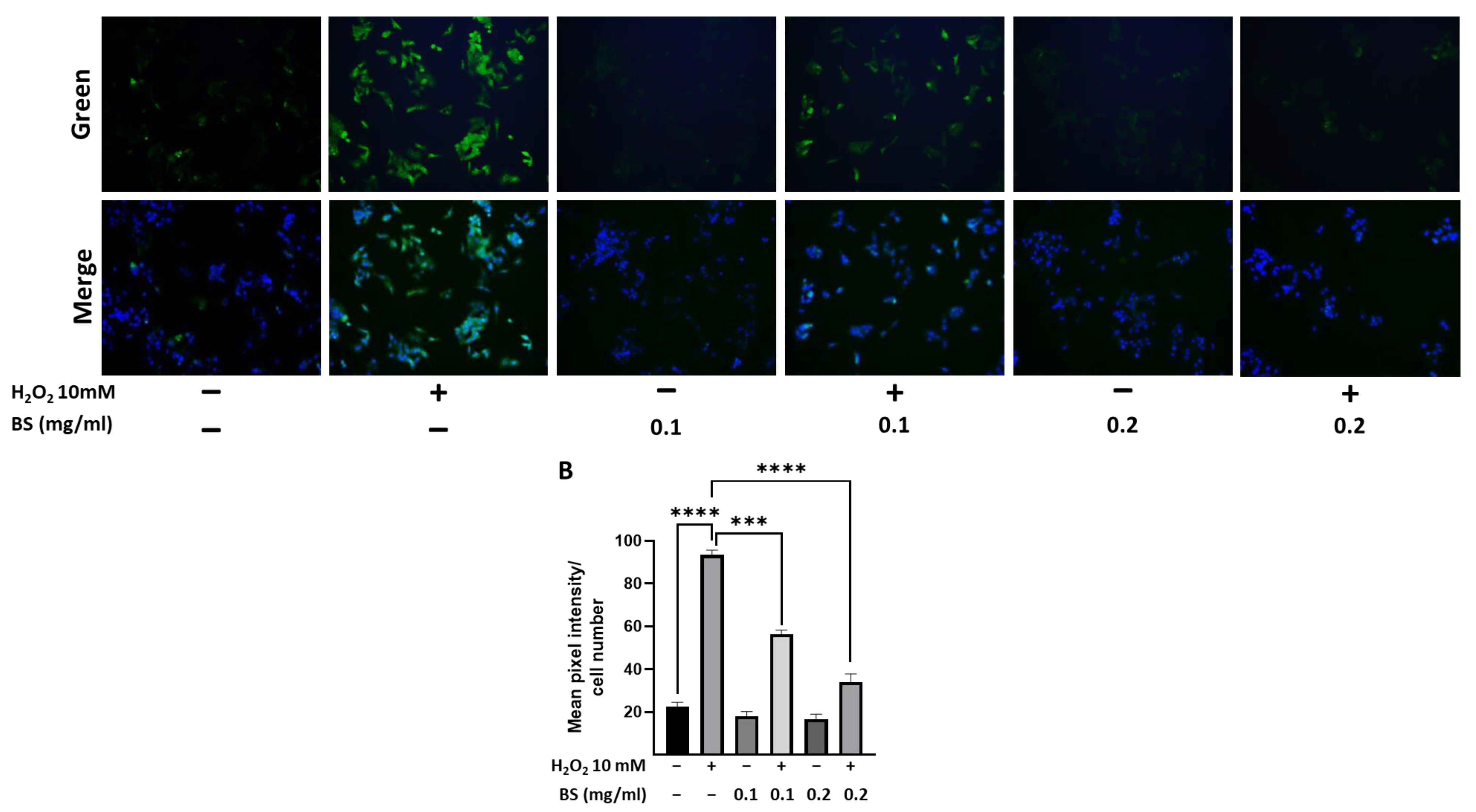Antioxidants 12 01239 g003