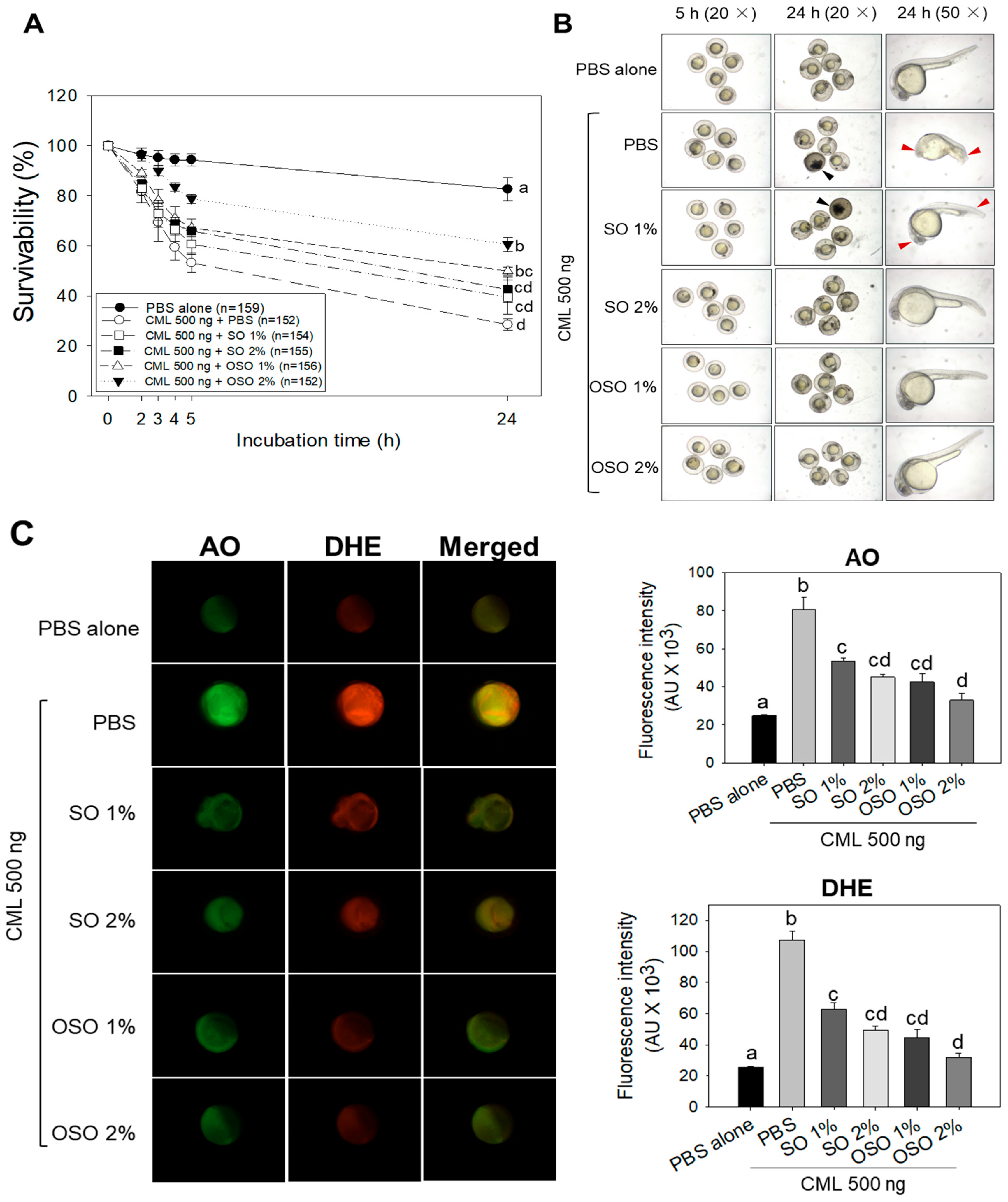 Antioxidants 12 01240 g001 Antioxidants 12 01240 g001