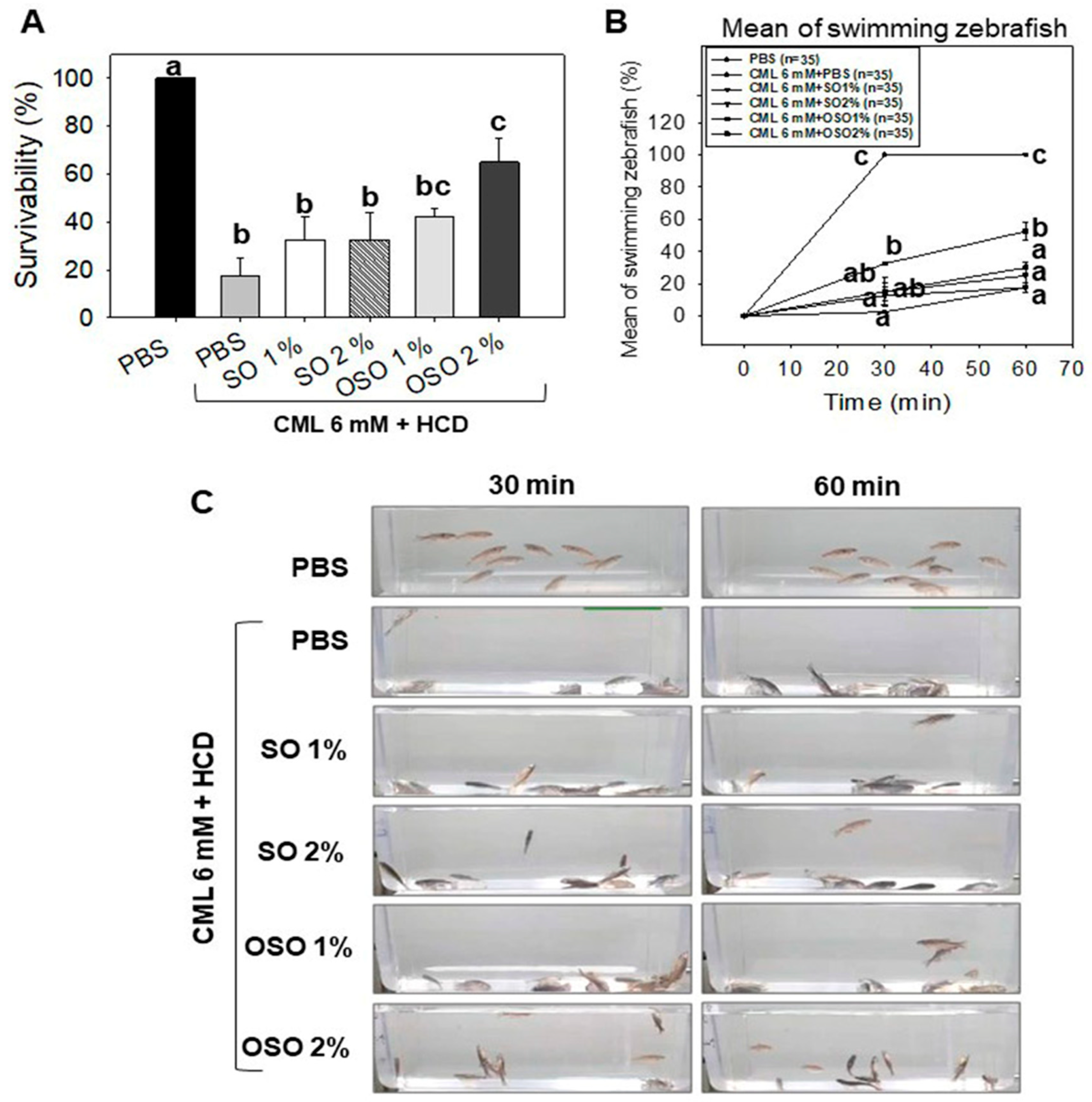 Antioxidants 12 01240 g002 Antioxidants 12 01240 g002