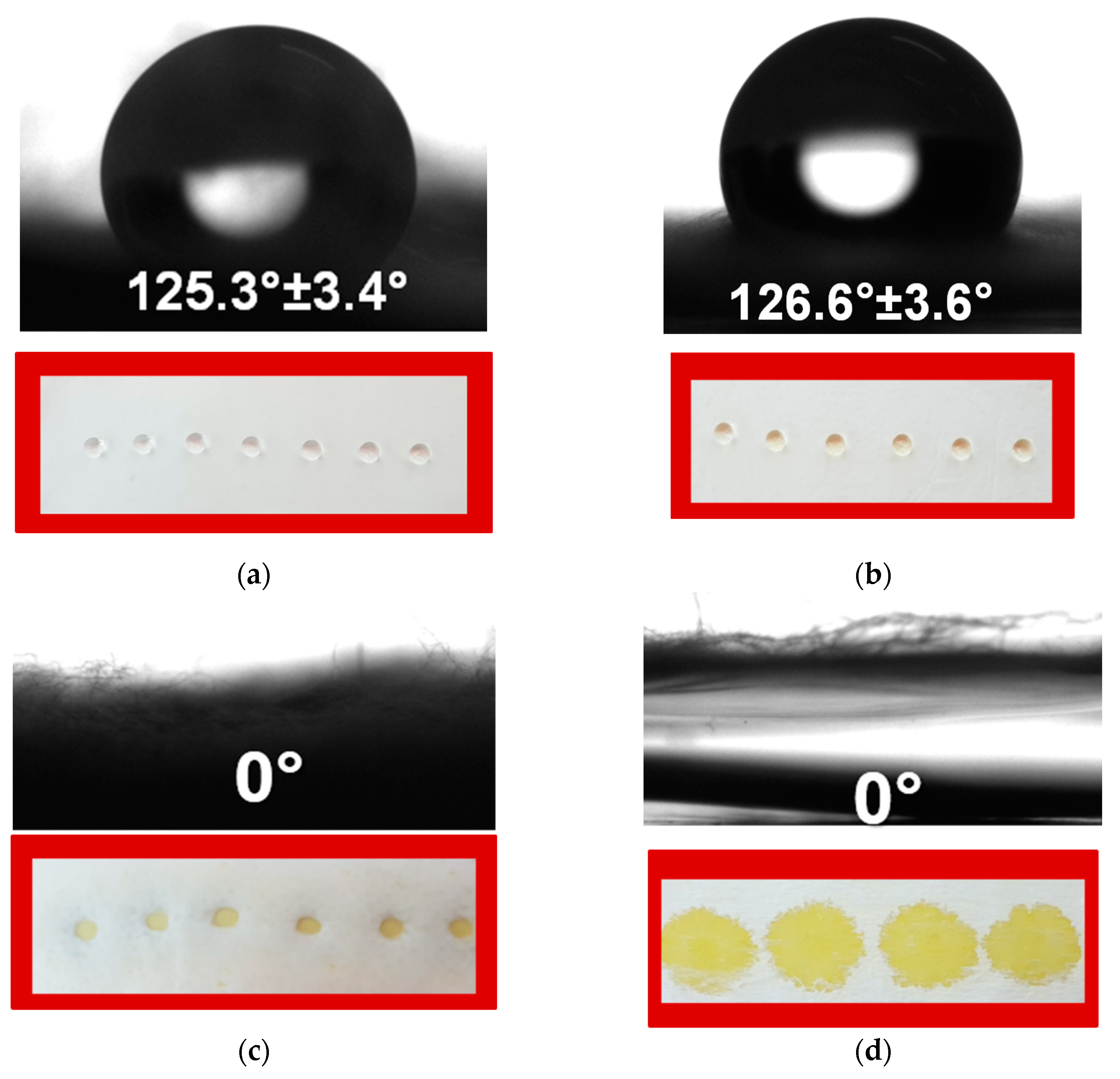 Antioxidants 12 01243 g005