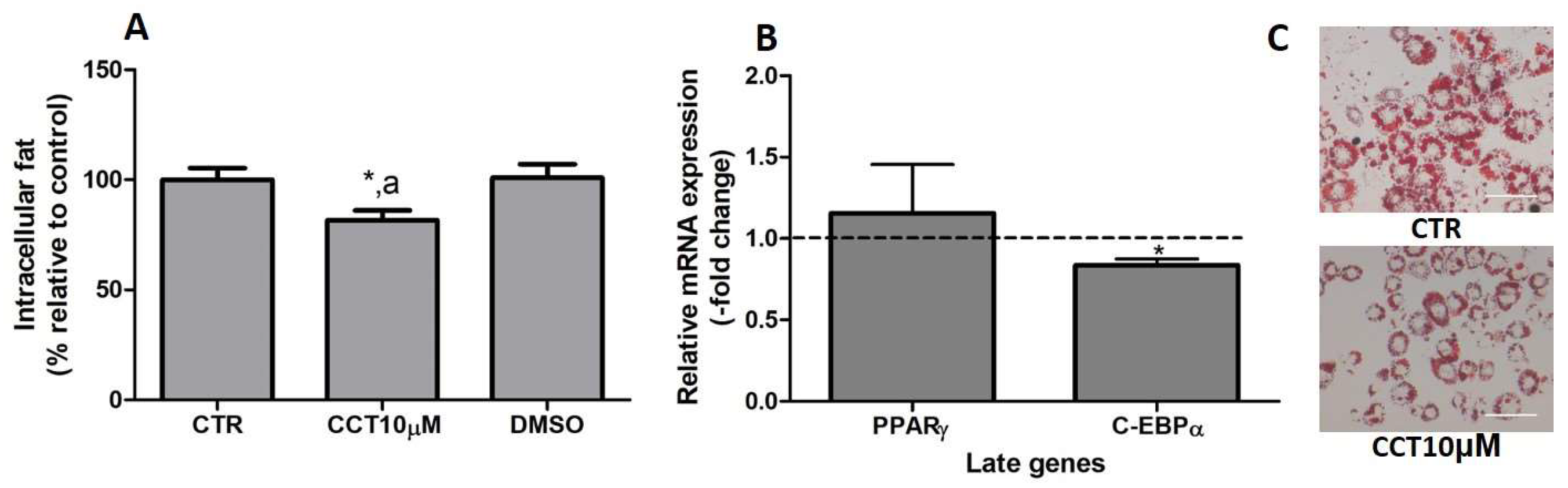 Antioxidants 12 01254 g006