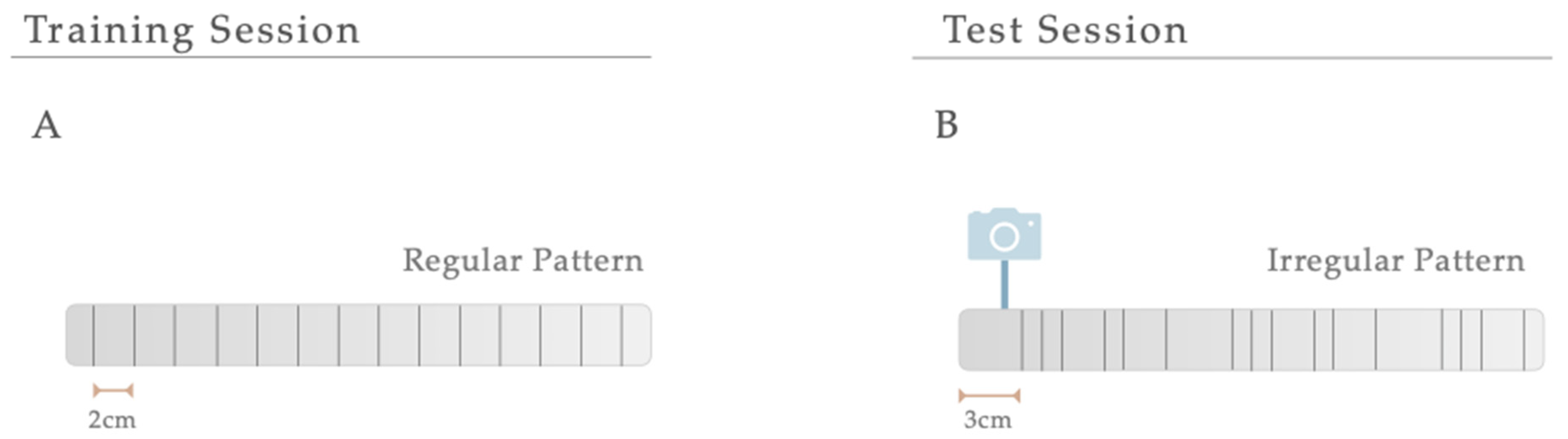 Antioxidants 12 01257 g002 Antioxidants 12 01257 g002