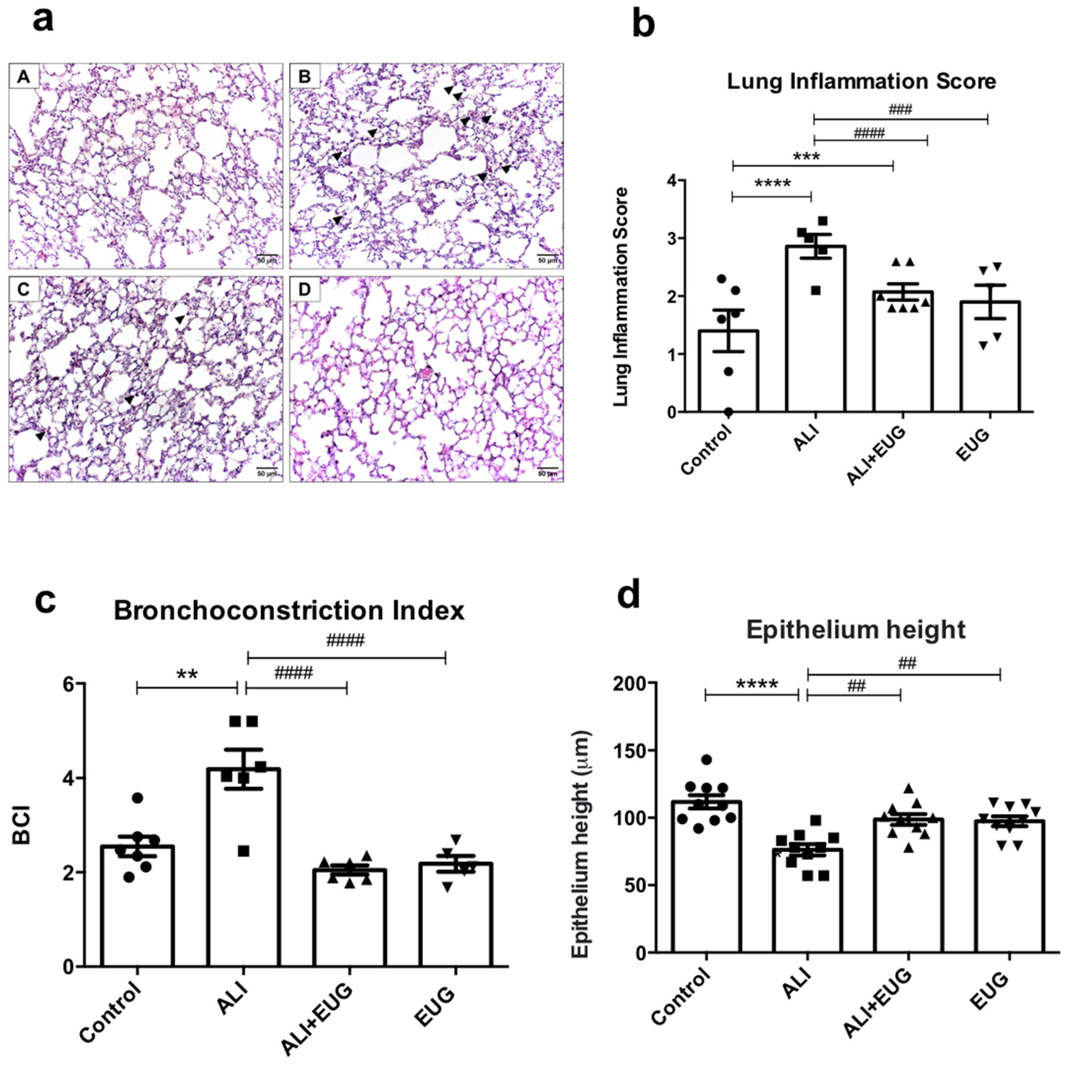 Antioxidants 12 01258 g001
