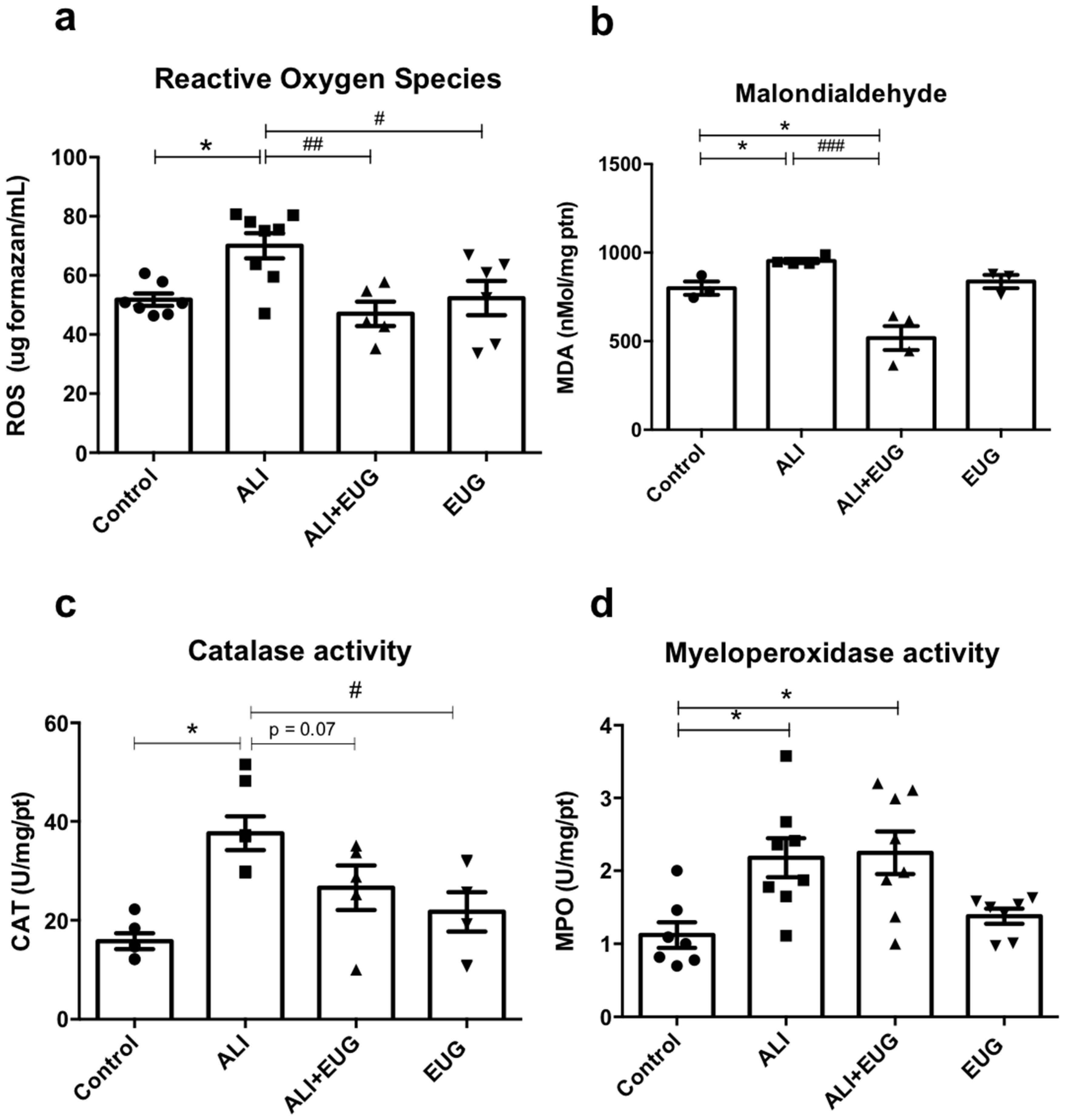 Antioxidants 12 01258 g003