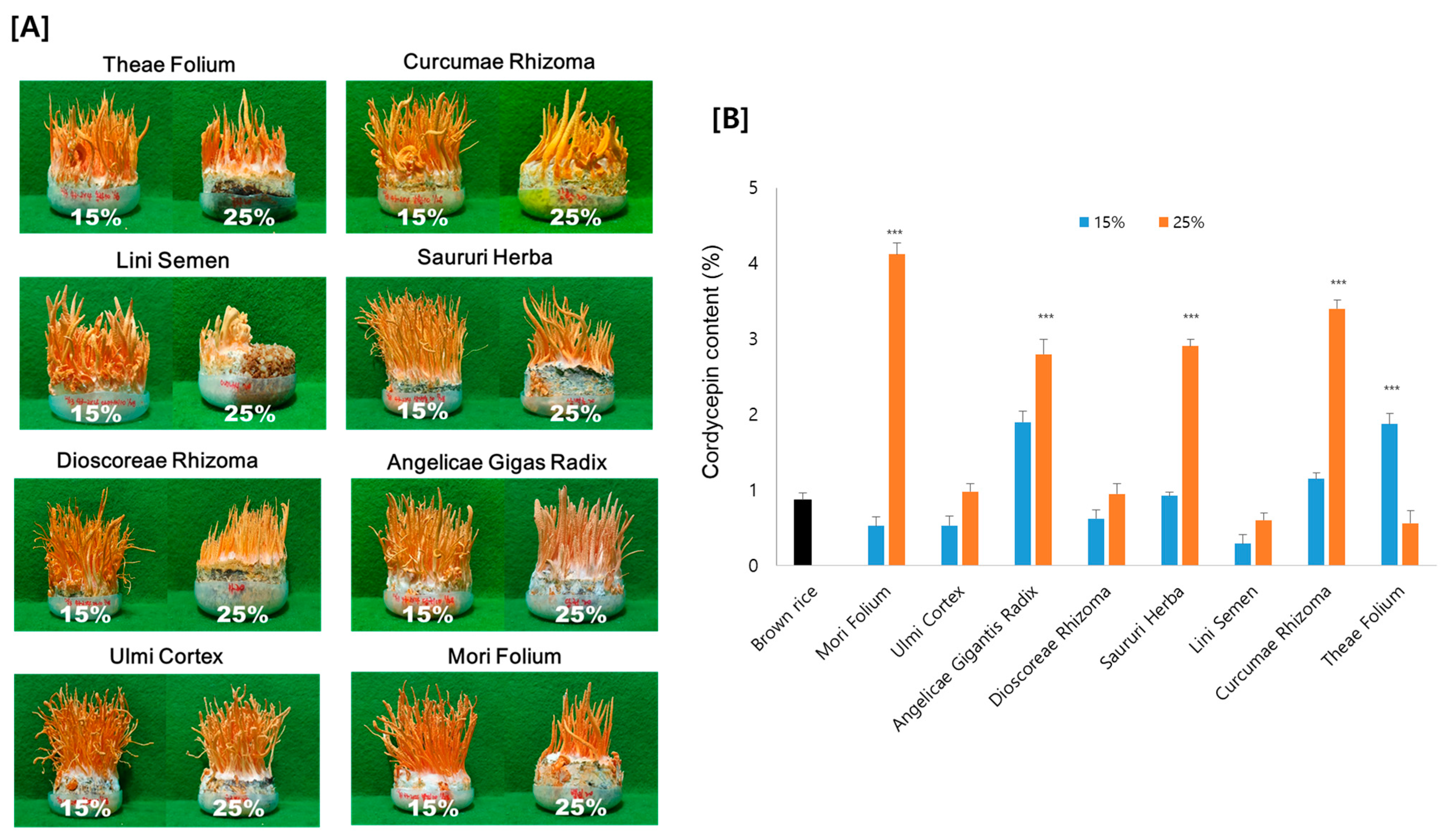 Antioxidants 12 01260 g002