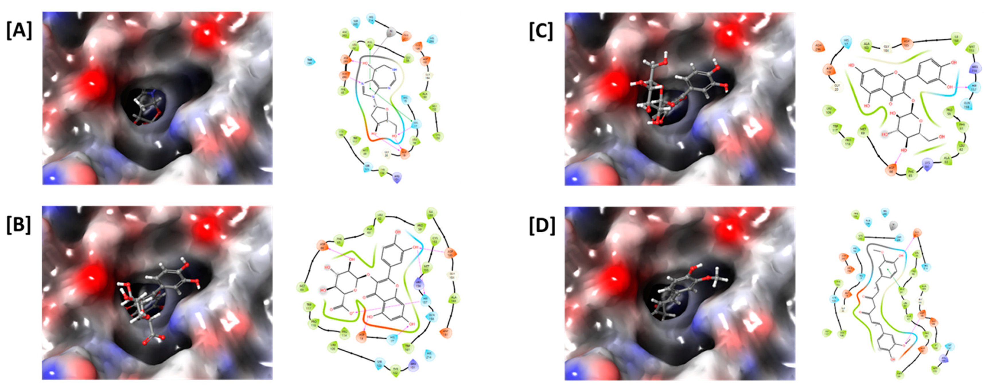 Antioxidants 12 01260 g005