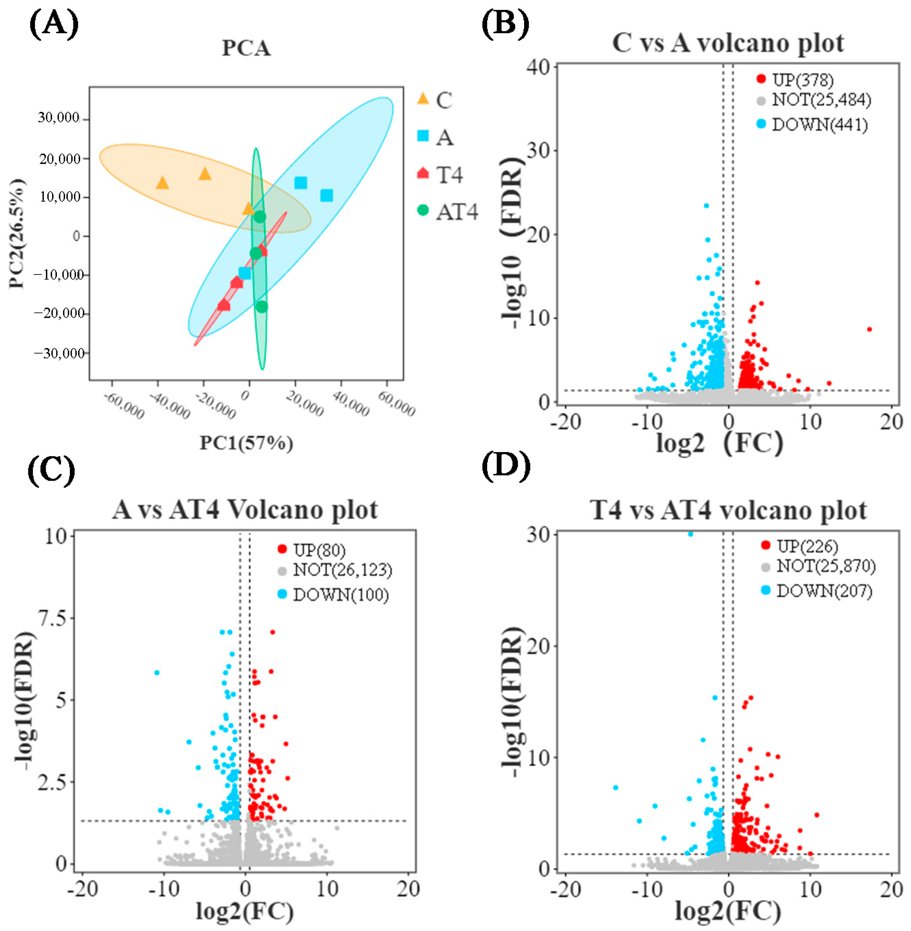 Antioxidants 12 01262 g003
