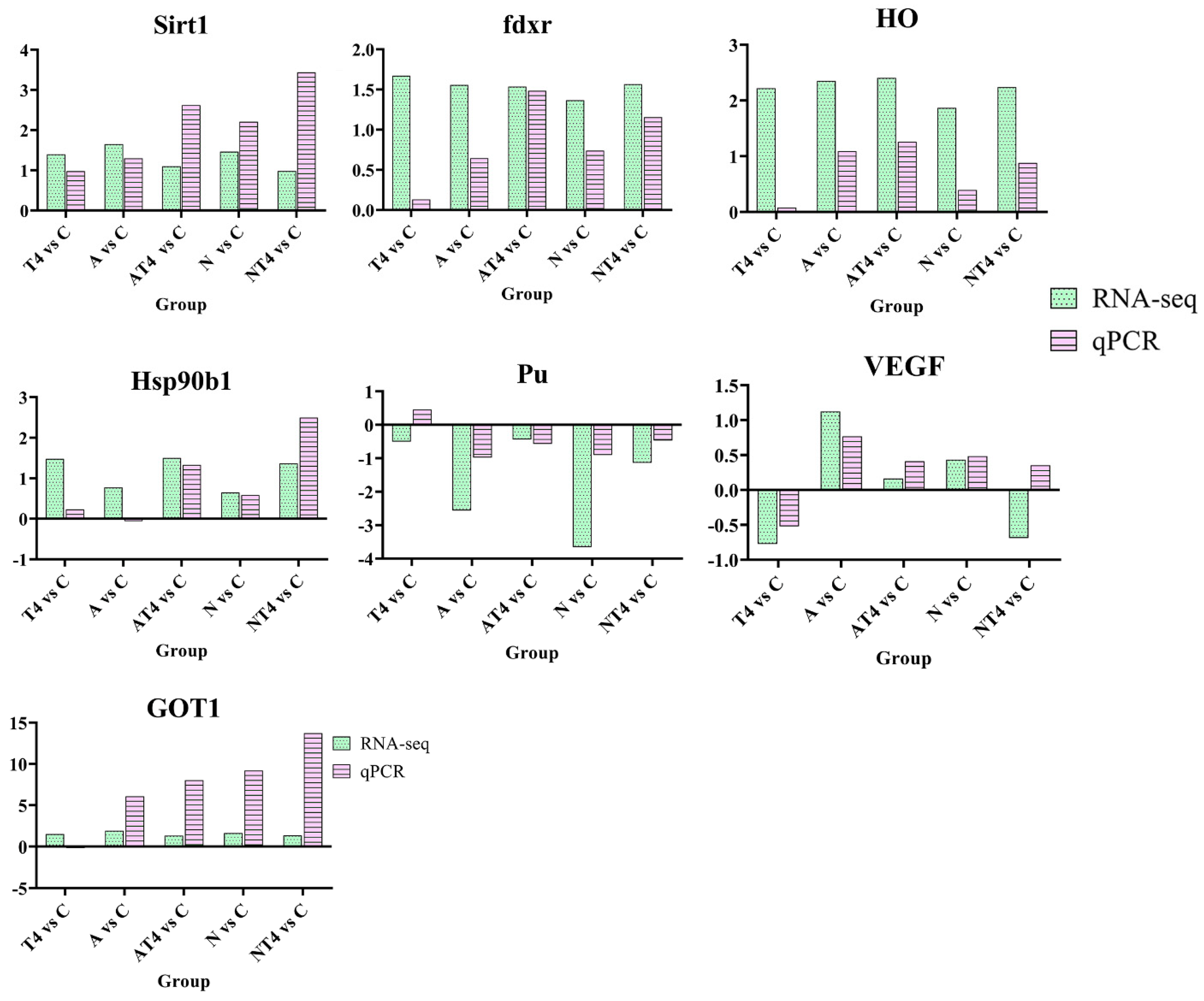 Antioxidants 12 01262 g010