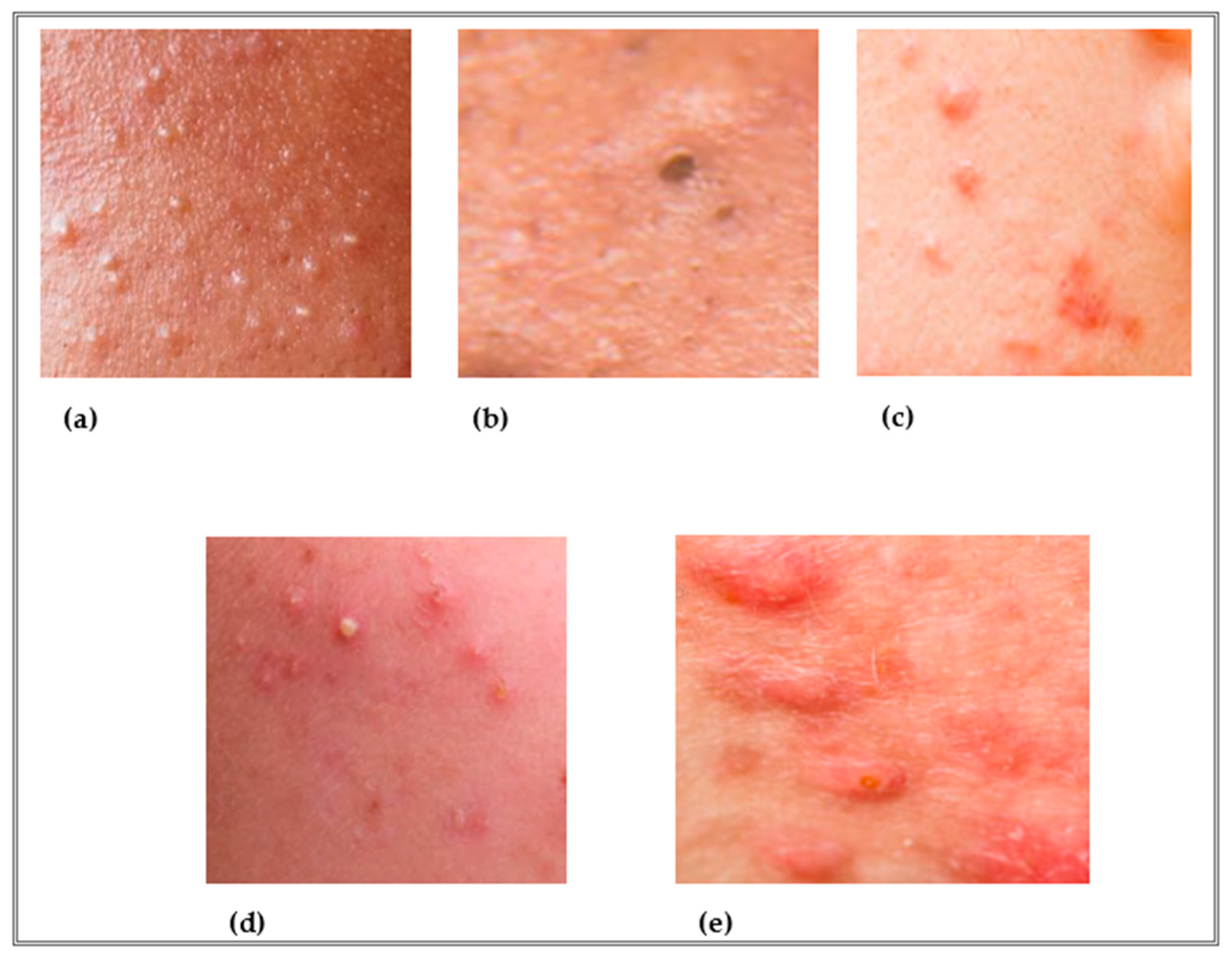 Antioxidants 12 01264 g002