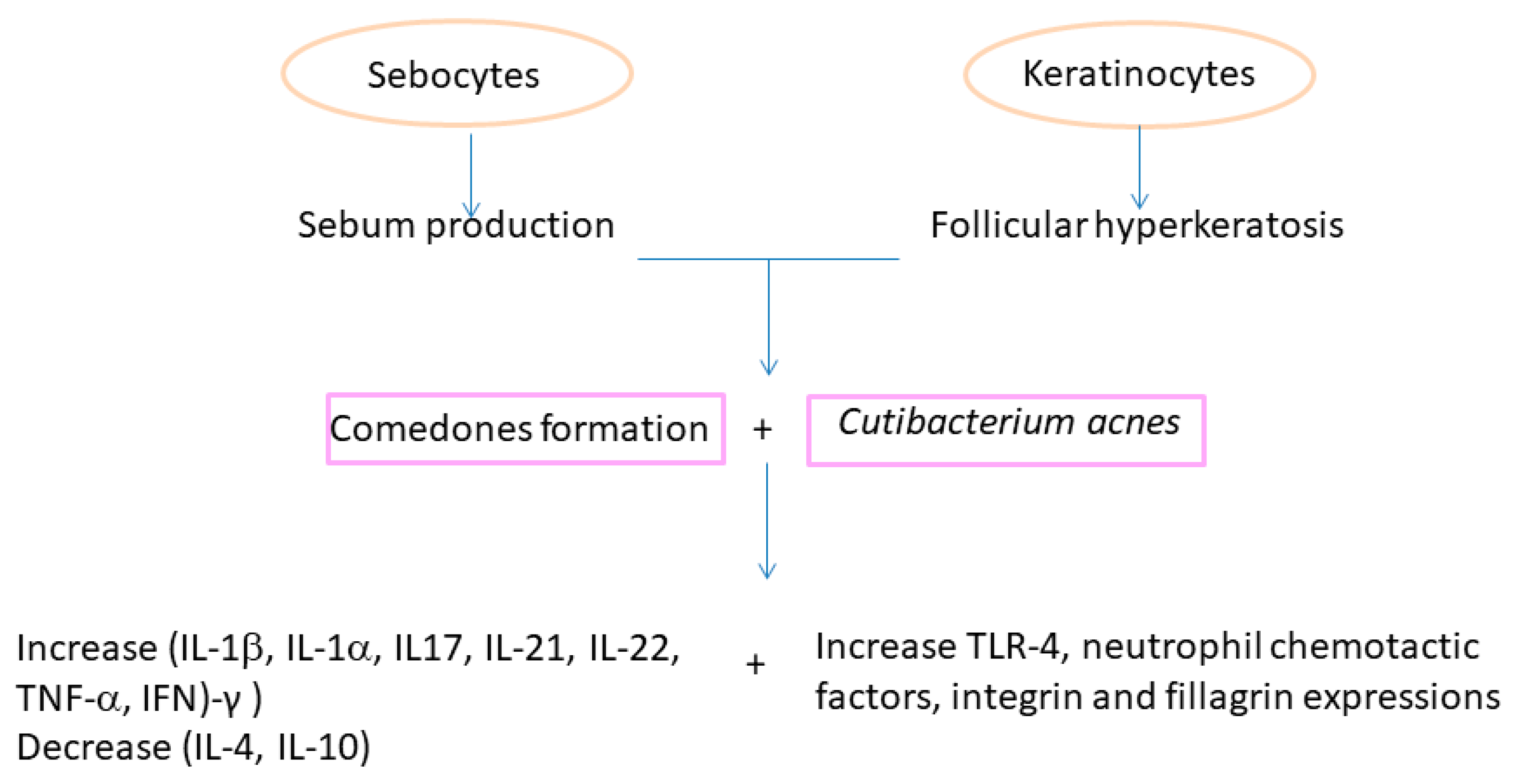 Antioxidants 12 01264 g003