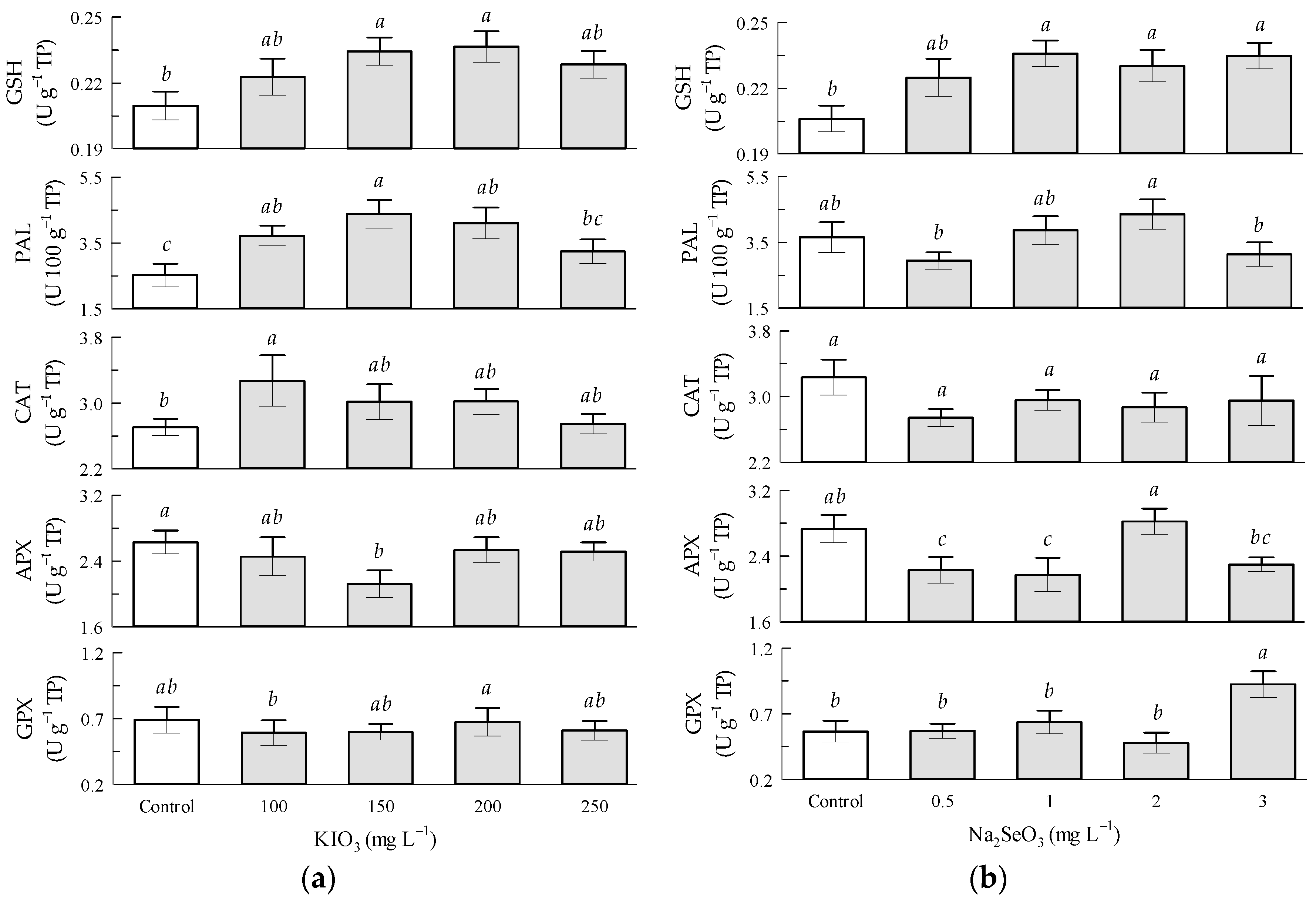 Antioxidants 12 01265 g003
