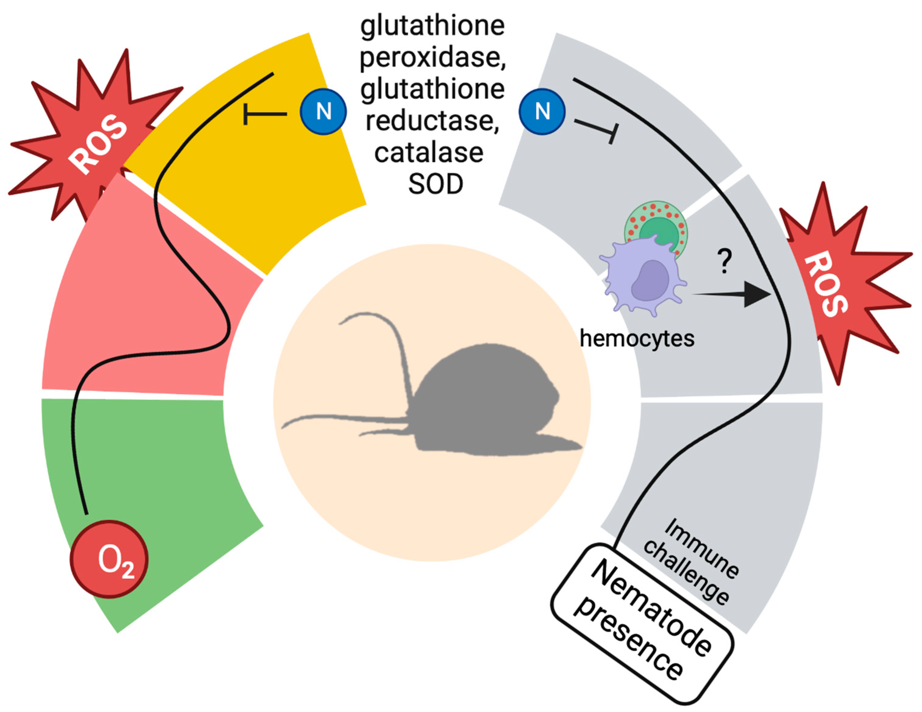 Antioxidants 12 01266 g002