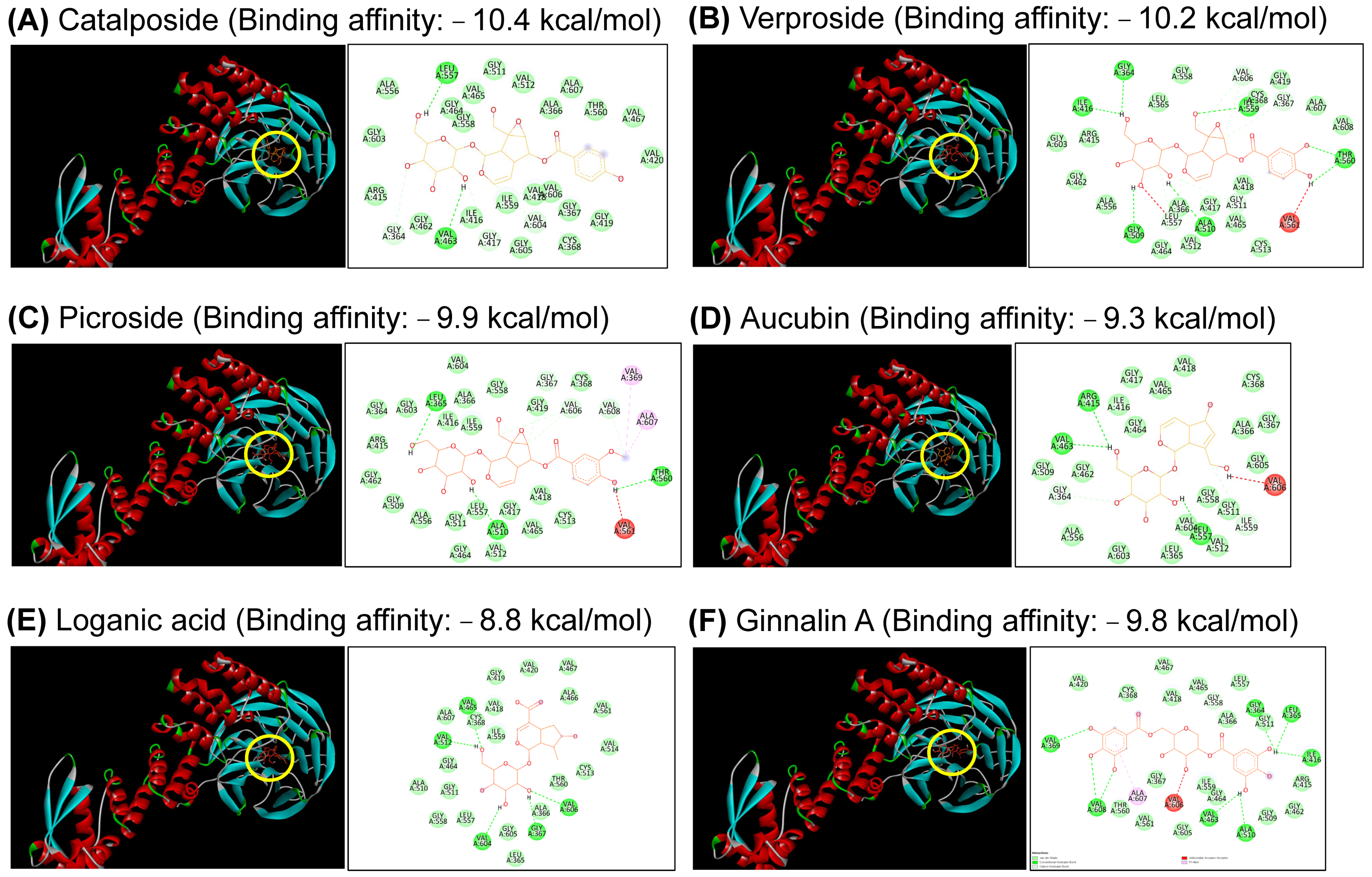 Antioxidants 12 01267 g008